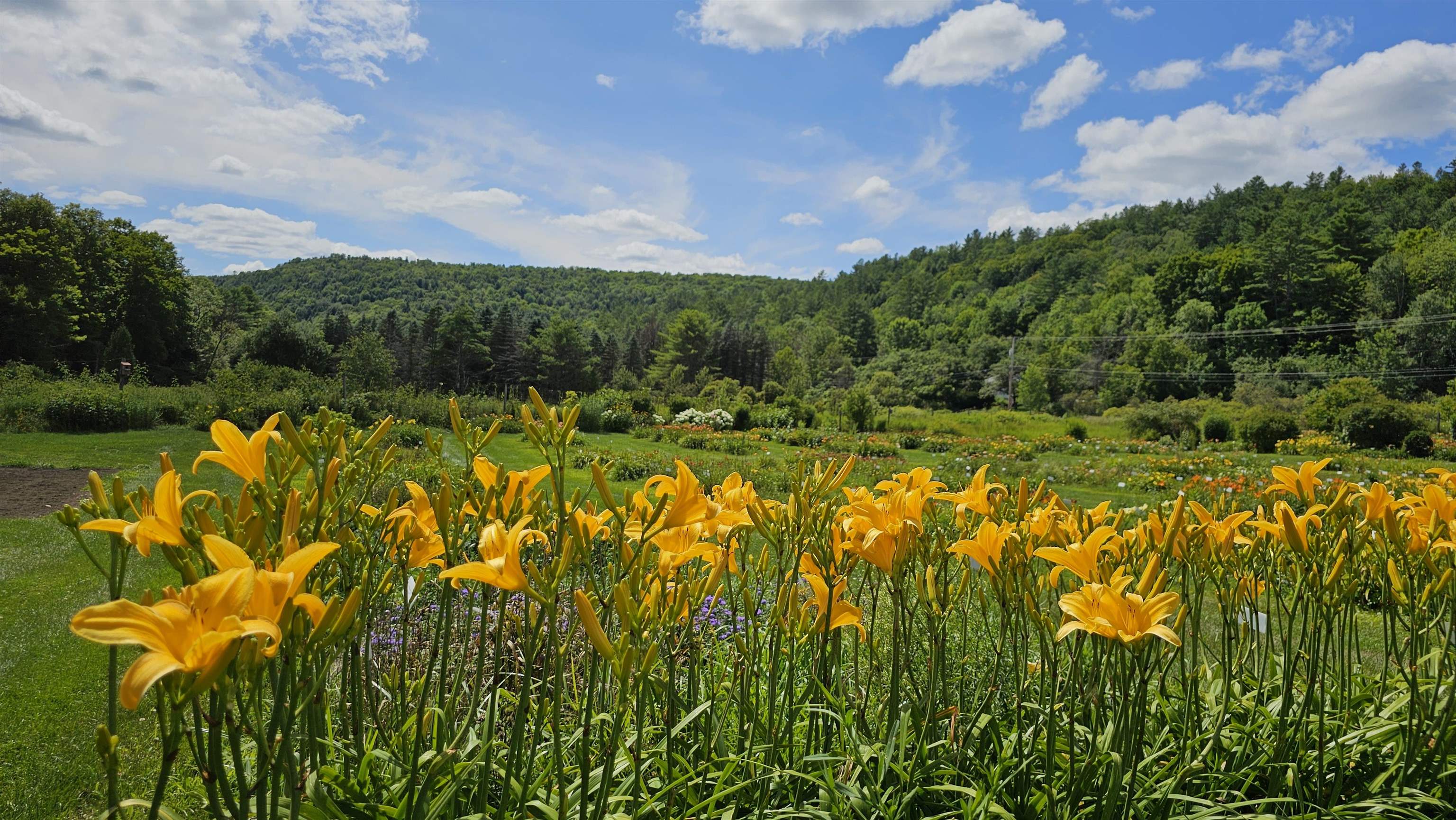 2236 US Route 2
