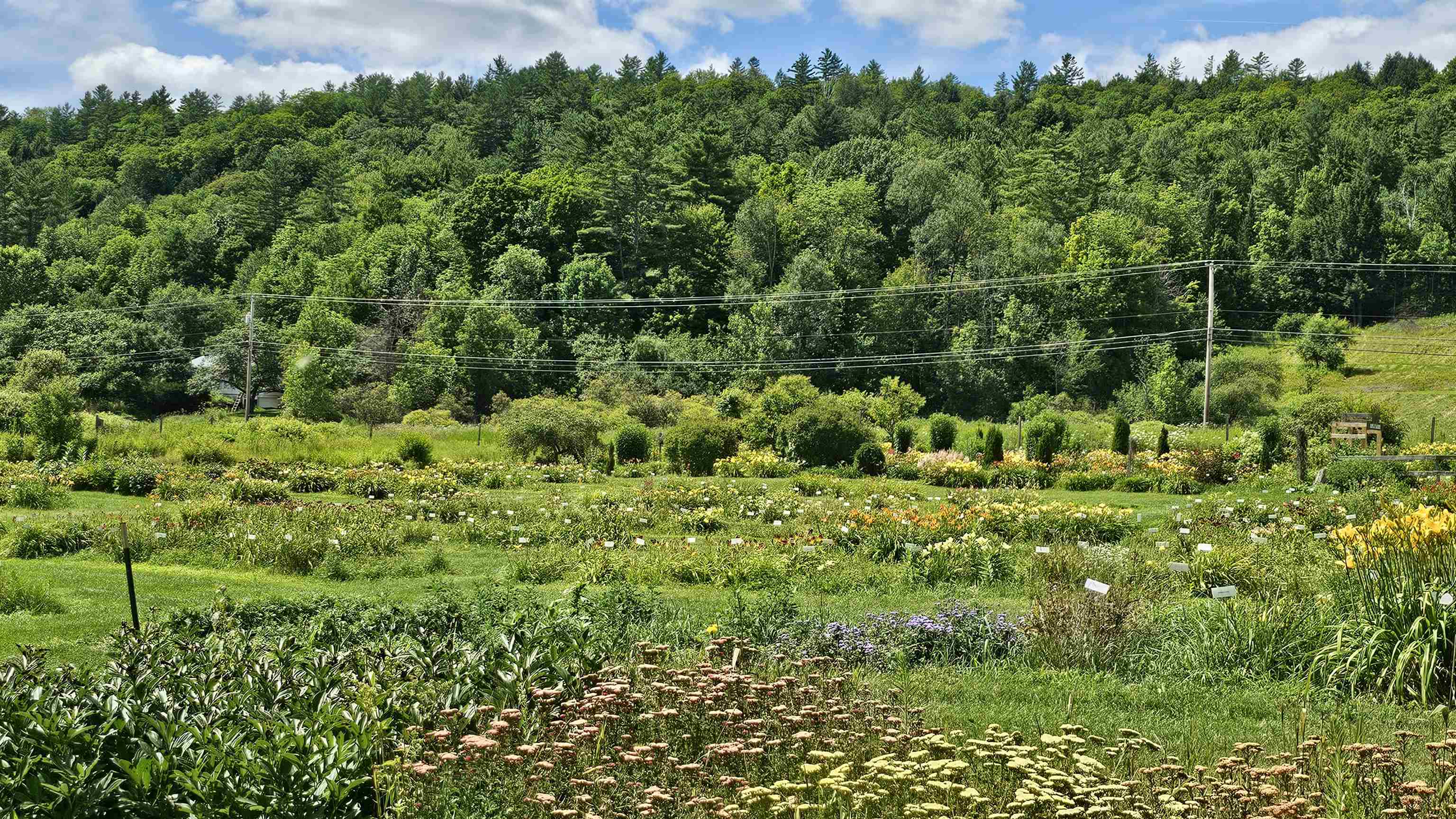 2236 US Route 2