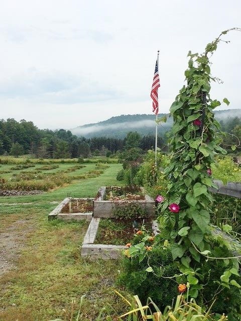 2236 US Route 2
