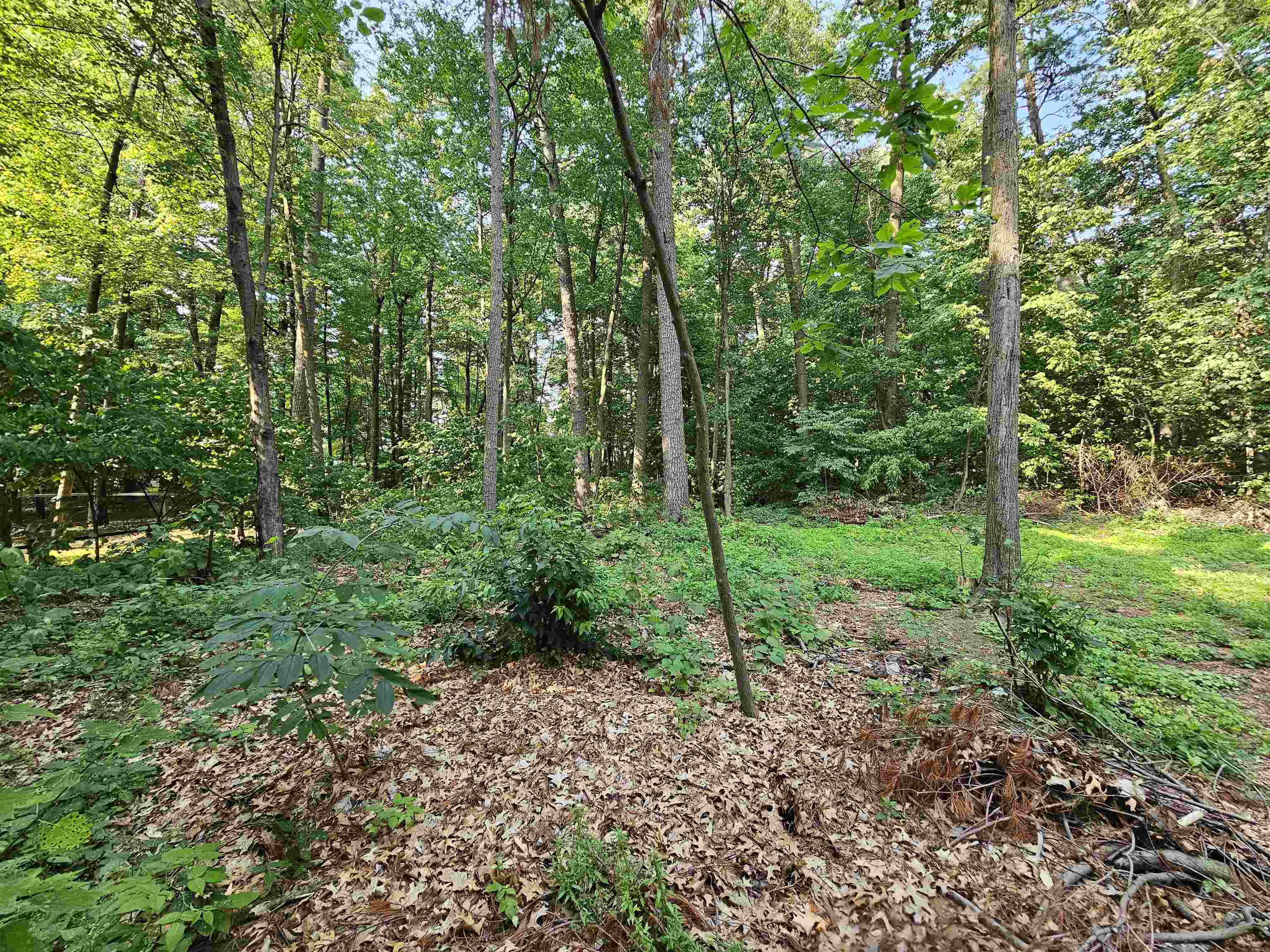 69 Hawthorne Lane