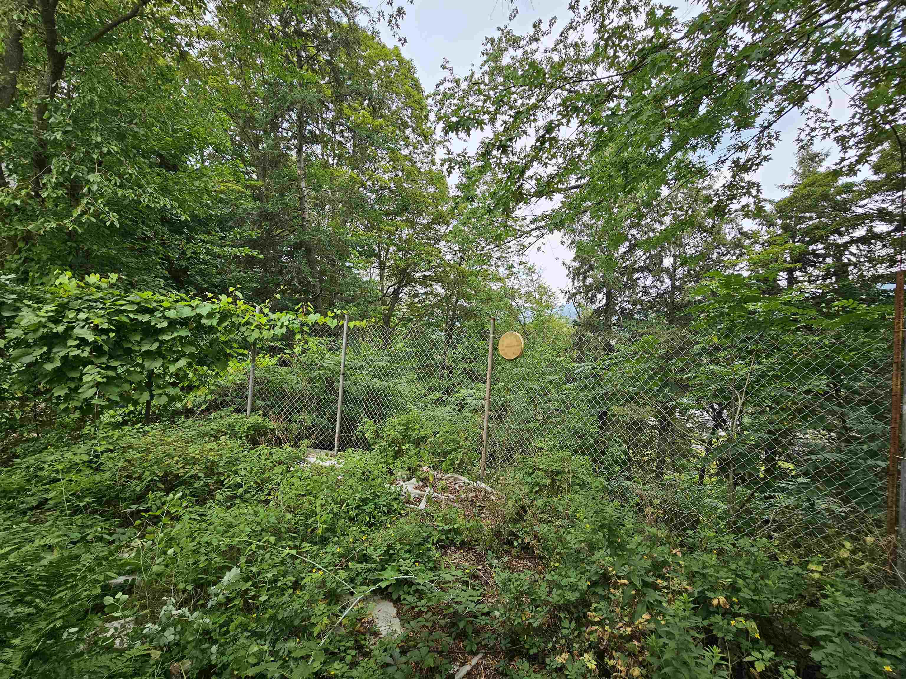 11 Buena Vista Place