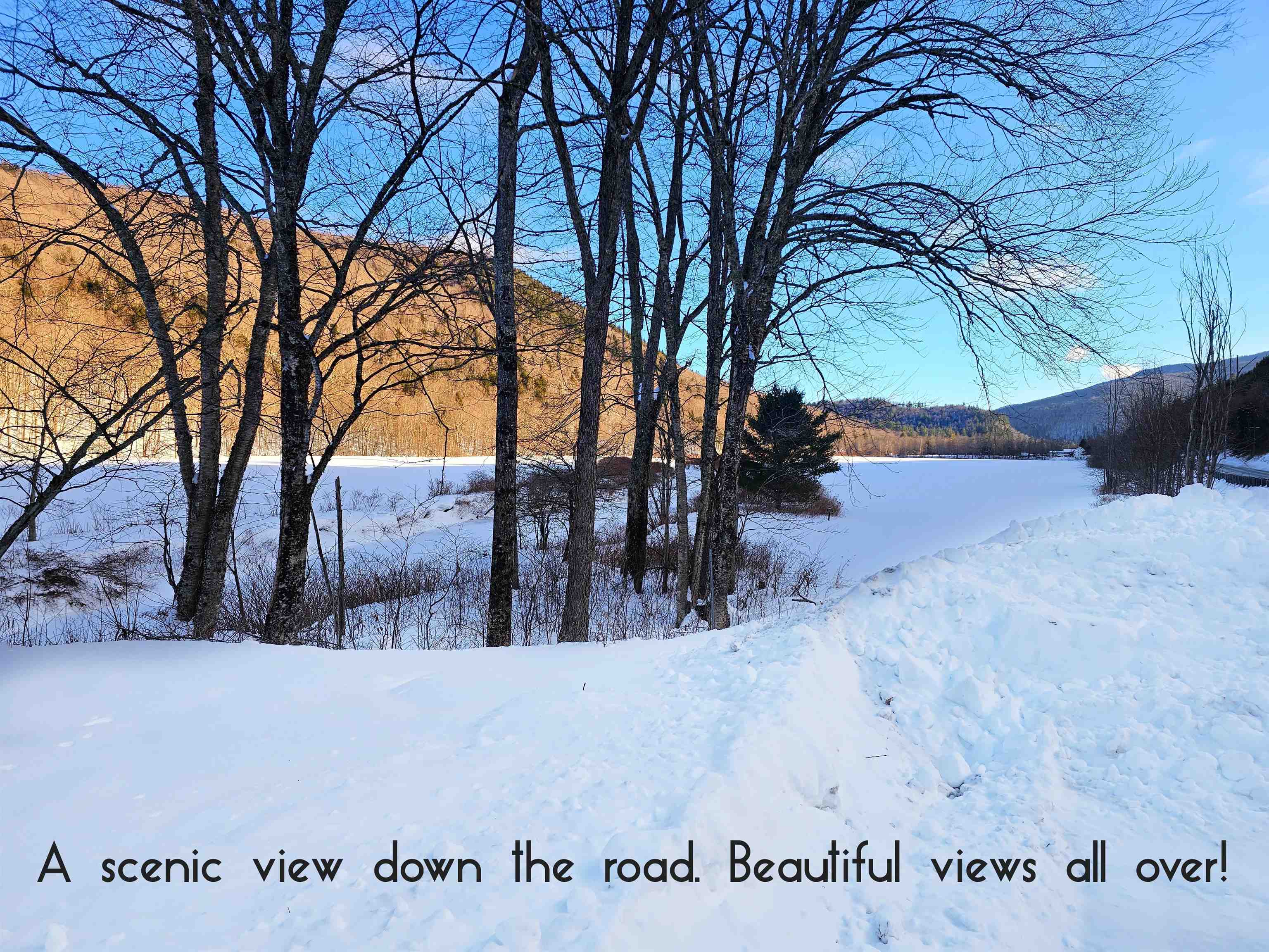 919 Vermont Route 100