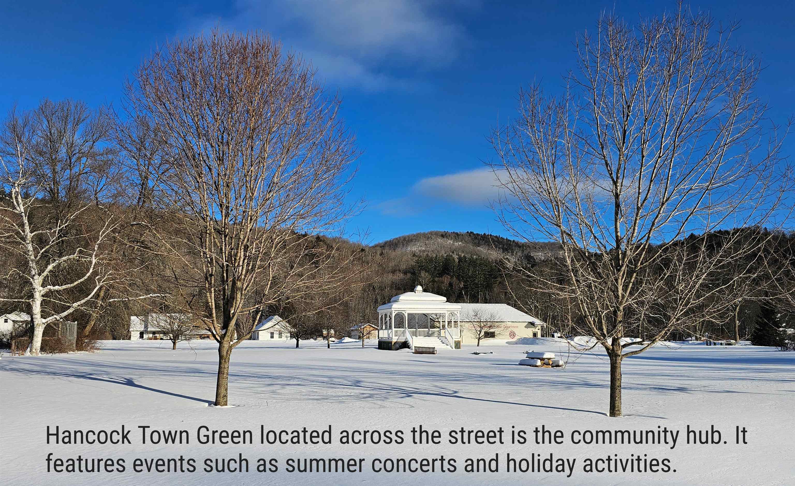 919 Vermont Route 100