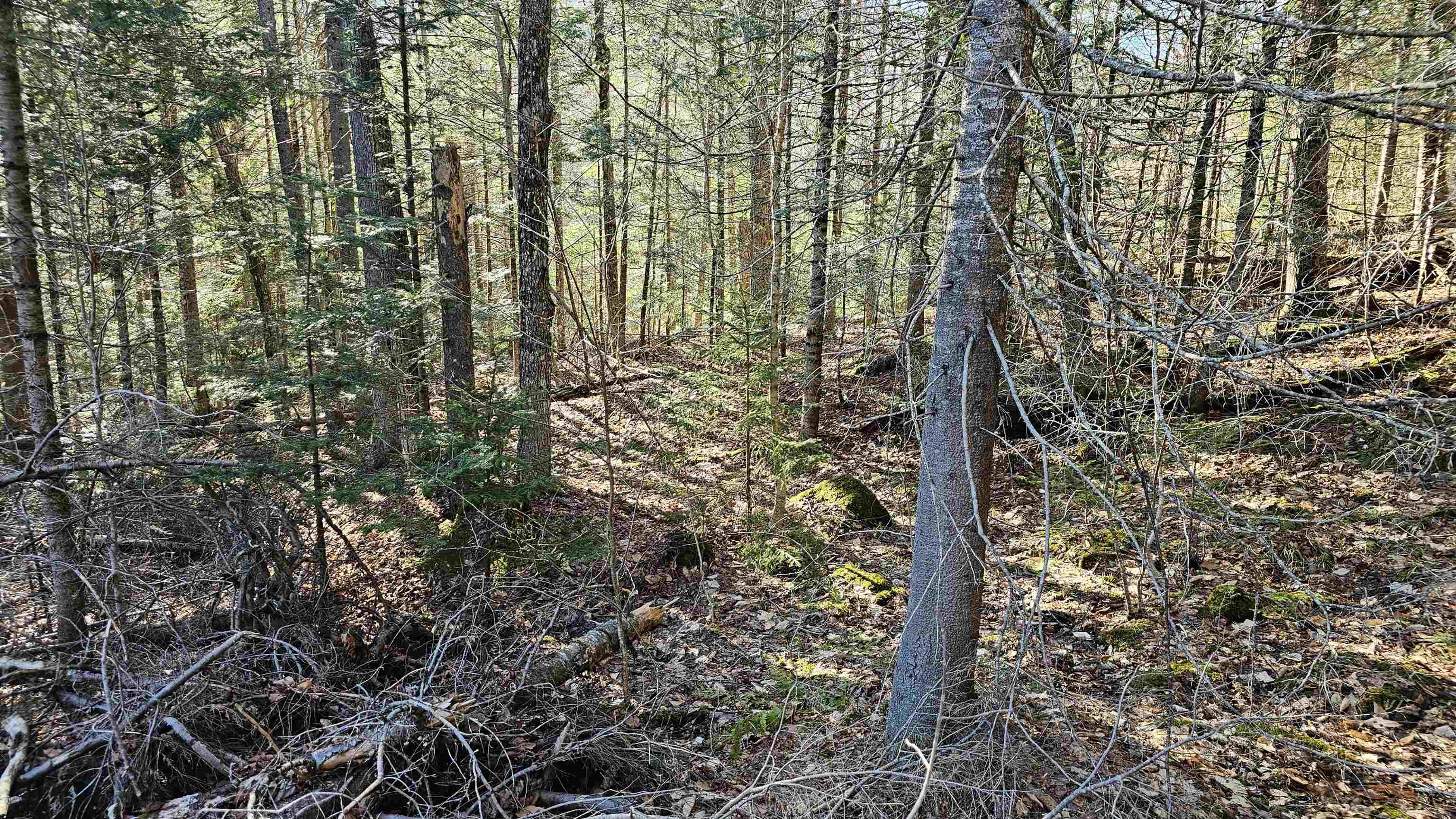 512 Woodbury Mountain Road