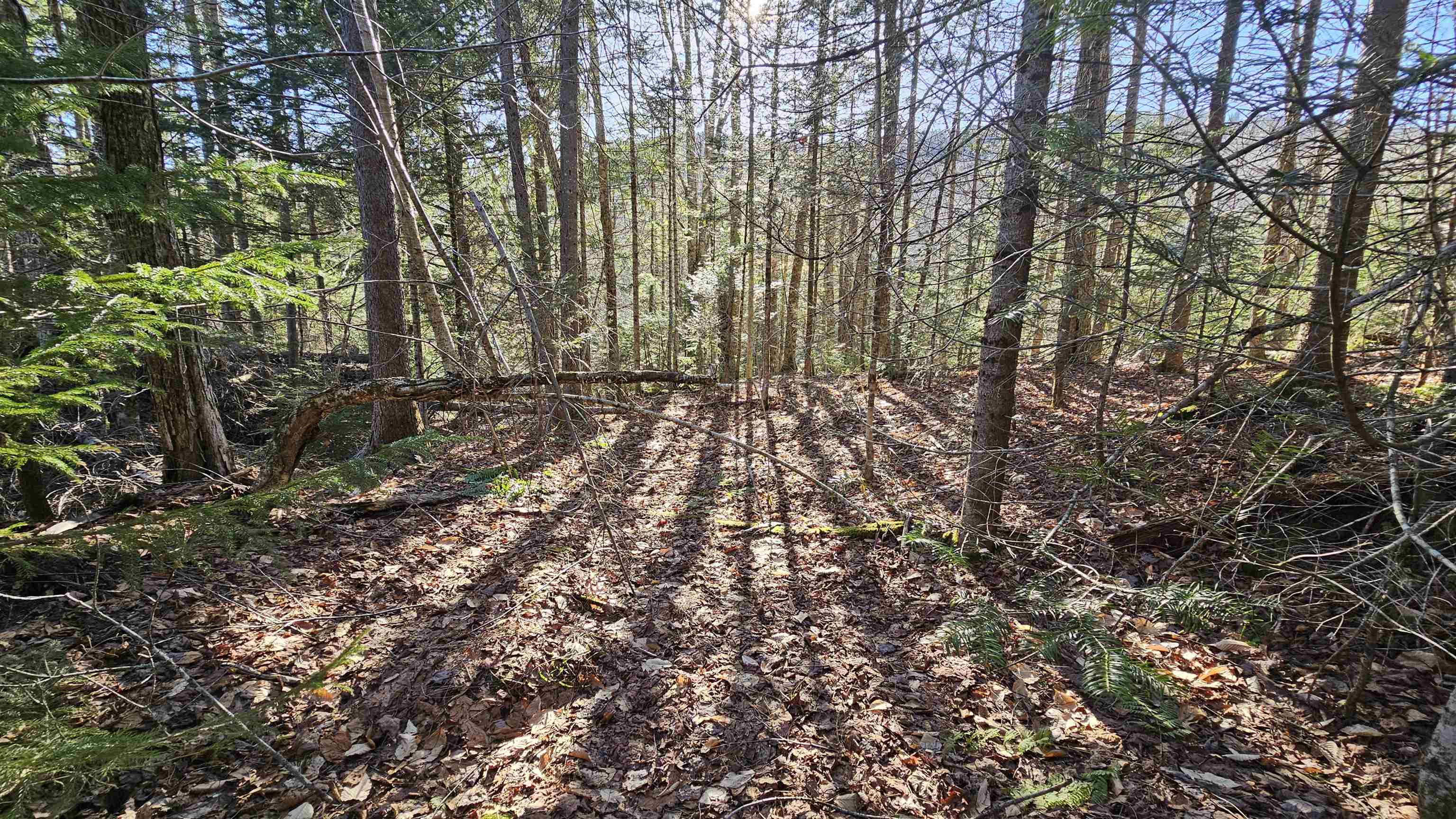 512 Woodbury Mountain Road