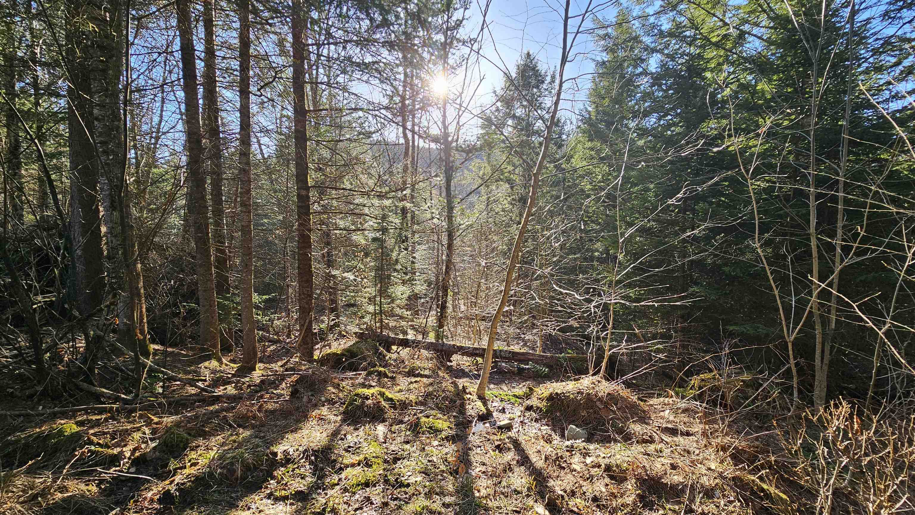 512 Woodbury Mountain Road