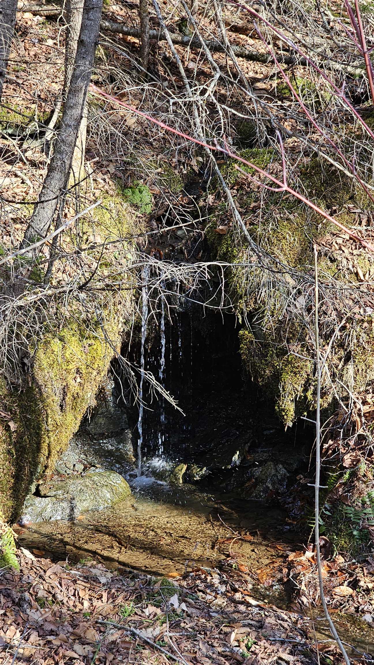 512 Woodbury Mountain Road
