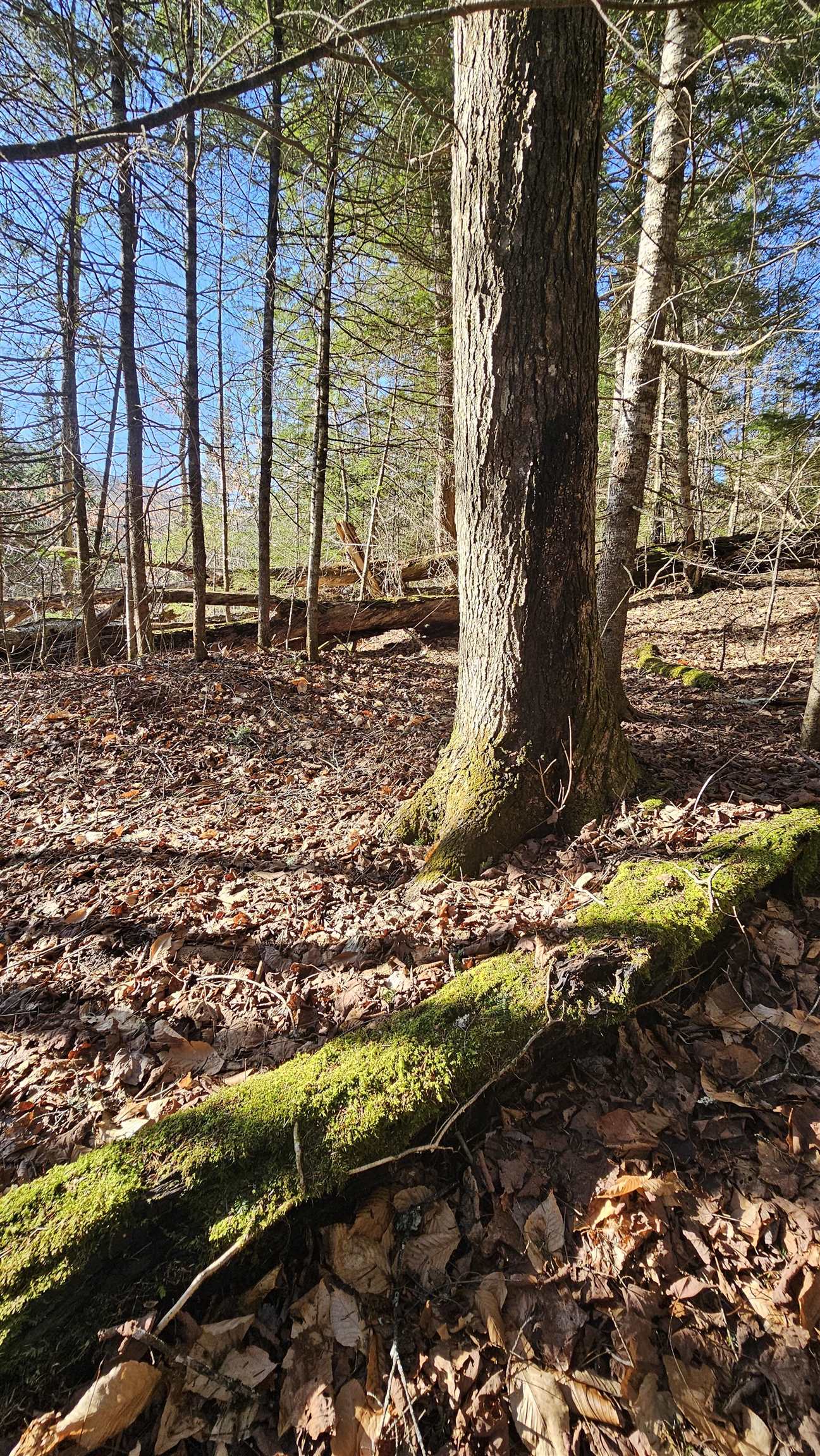 512 Woodbury Mountain Road