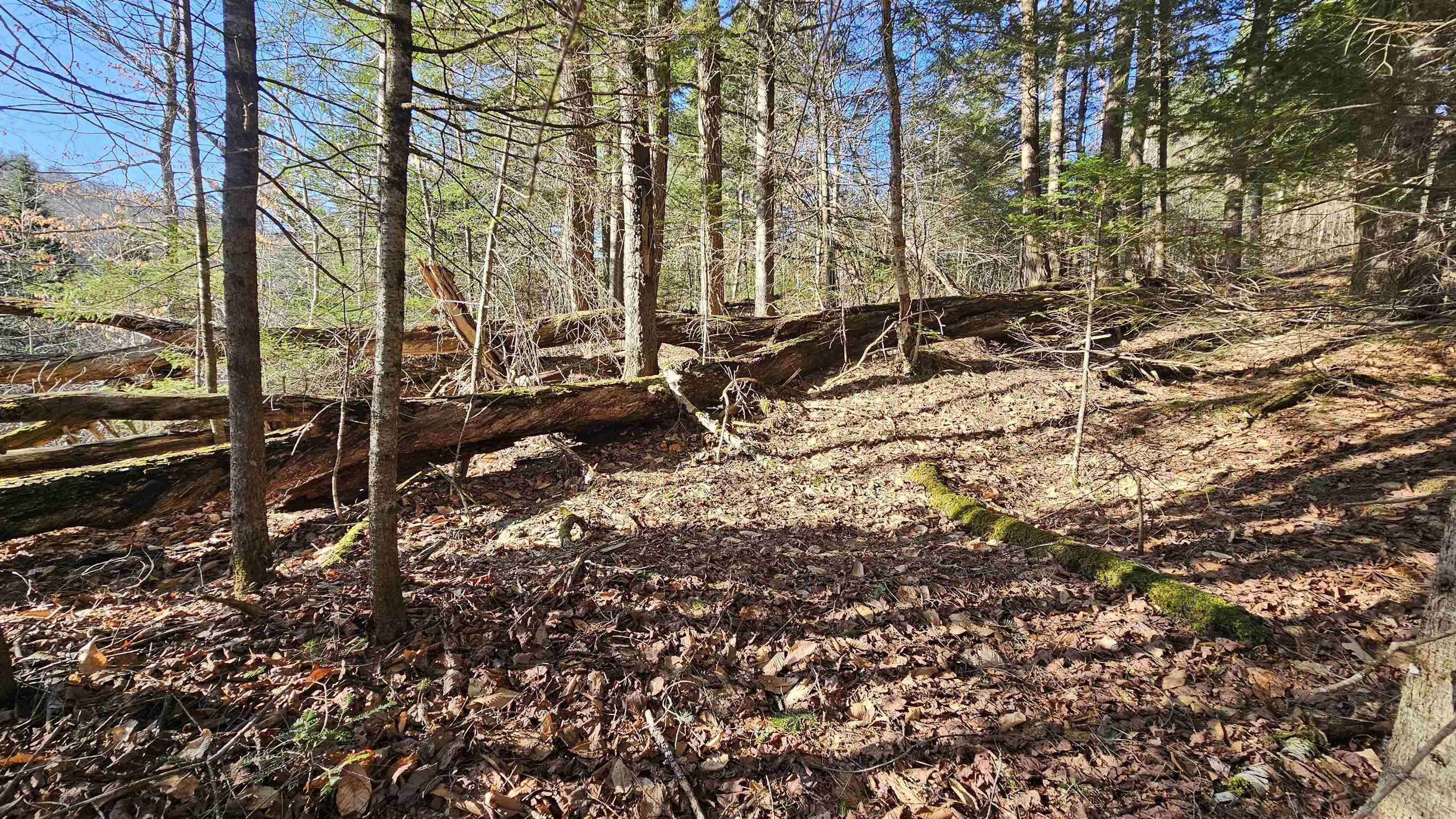 512 Woodbury Mountain Road