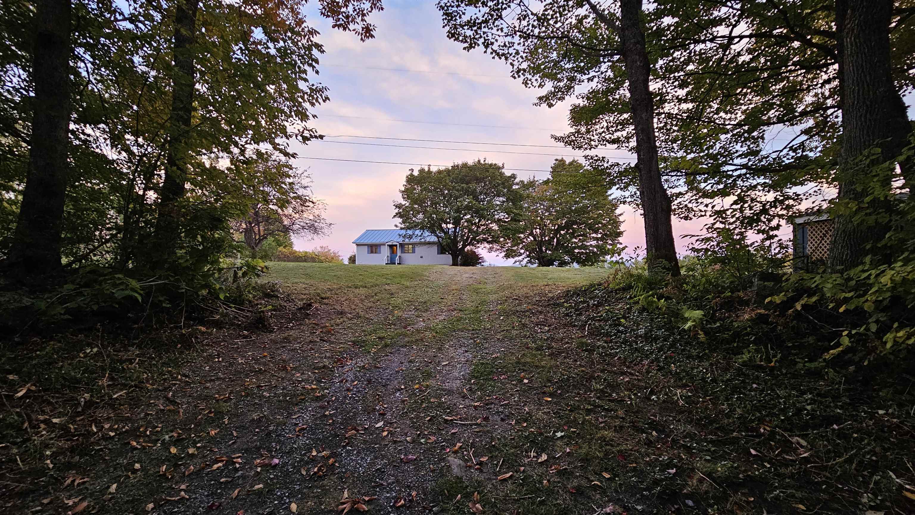Small house with a blue metal roof at the end of a tree-framed gravel drive at dusk.