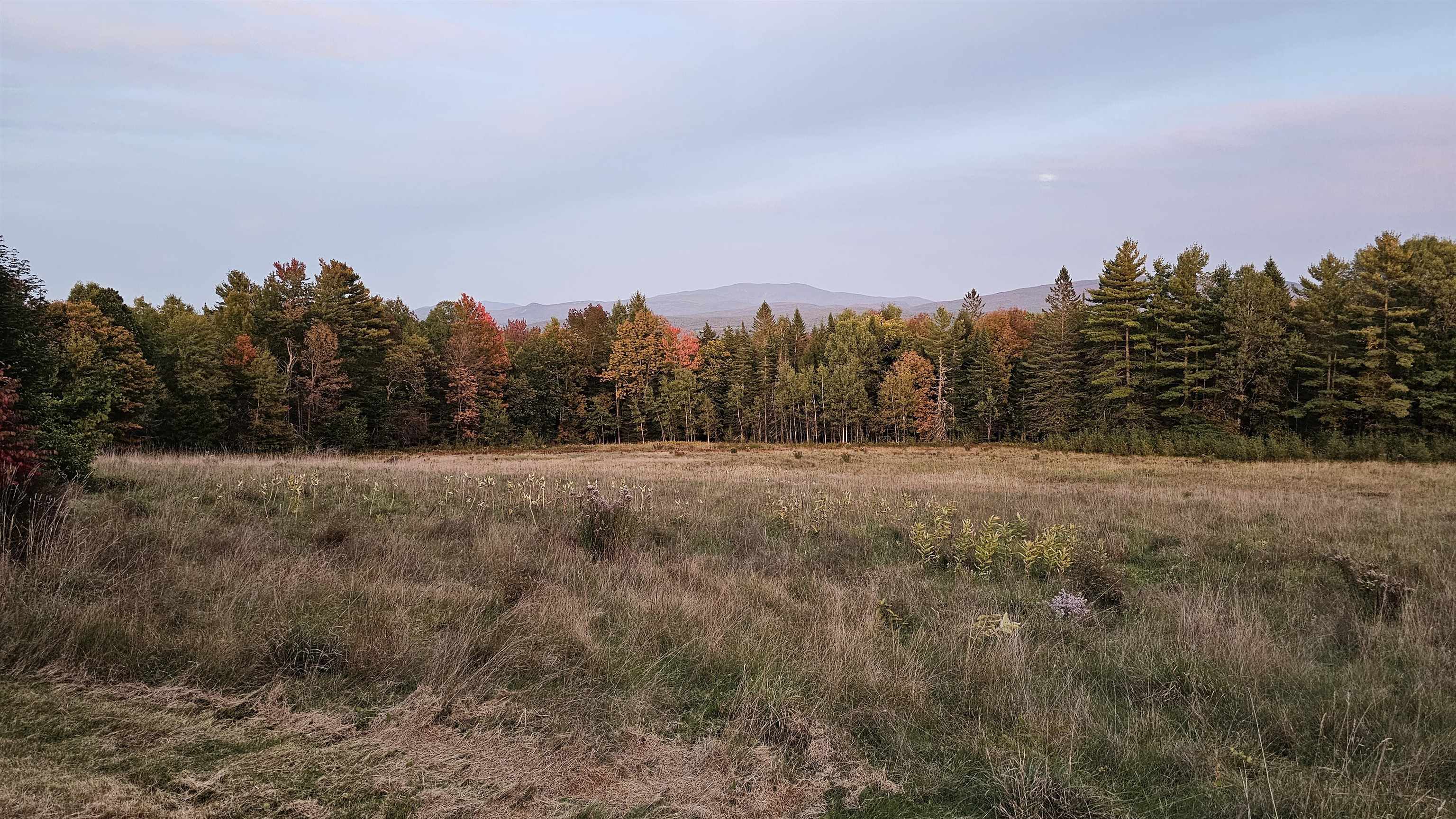 Open meadow bordered by autumn trees, with distant mountains beyond.