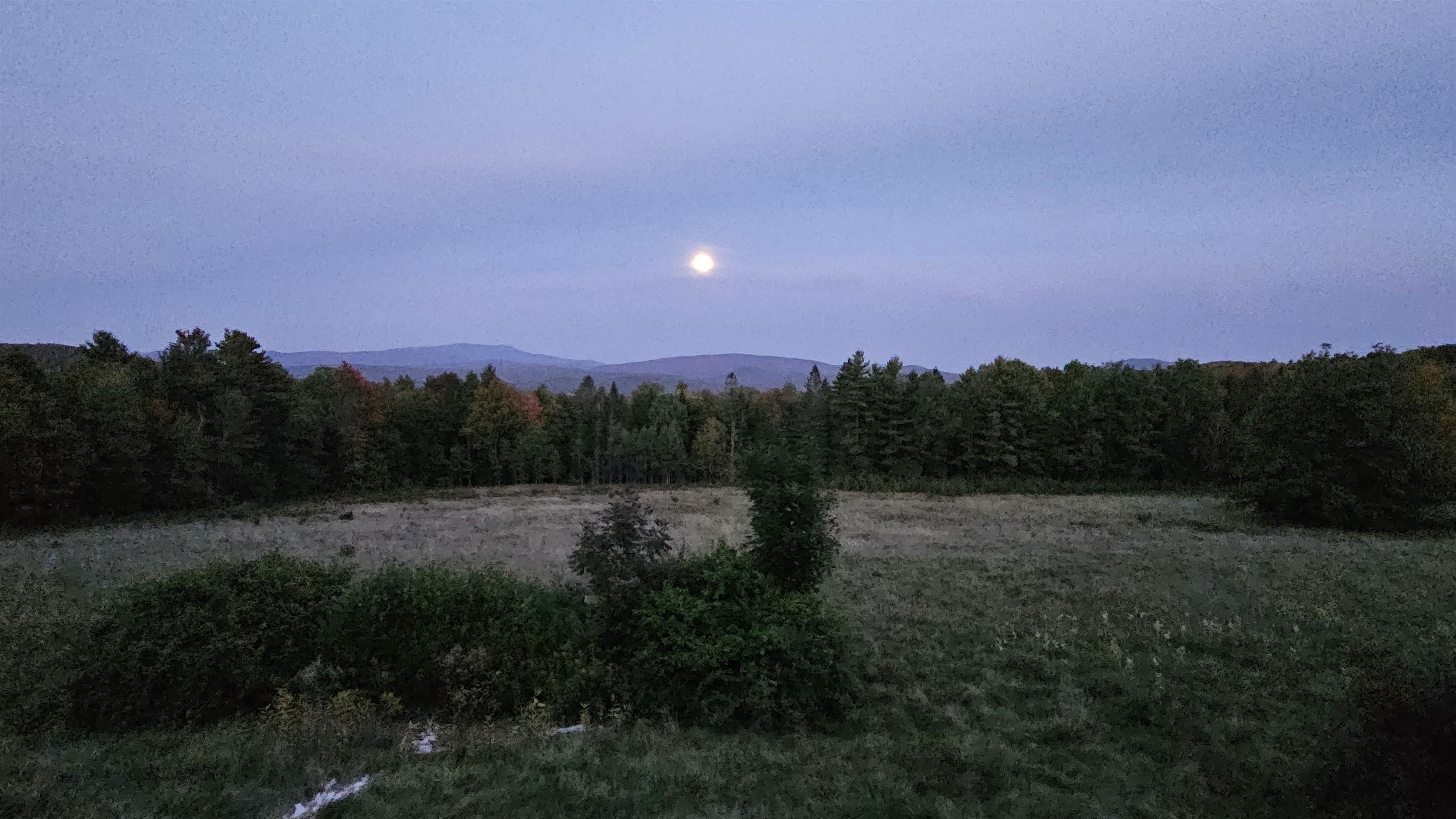 Open meadow and forest beneath a bright moon, with mountain ridges on the horizon.