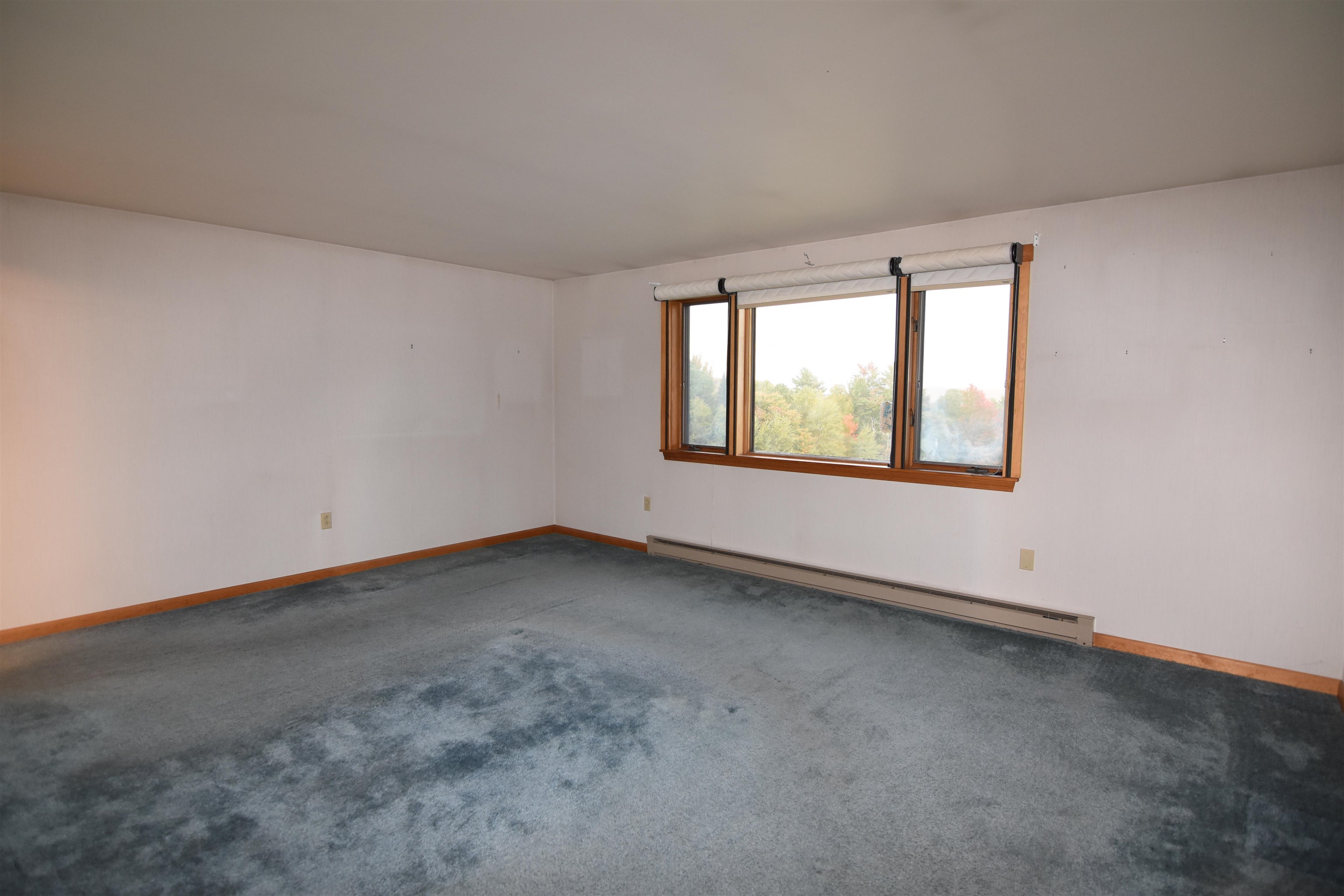 Empty carpeted room with wood-trimmed windows overlooking trees.
