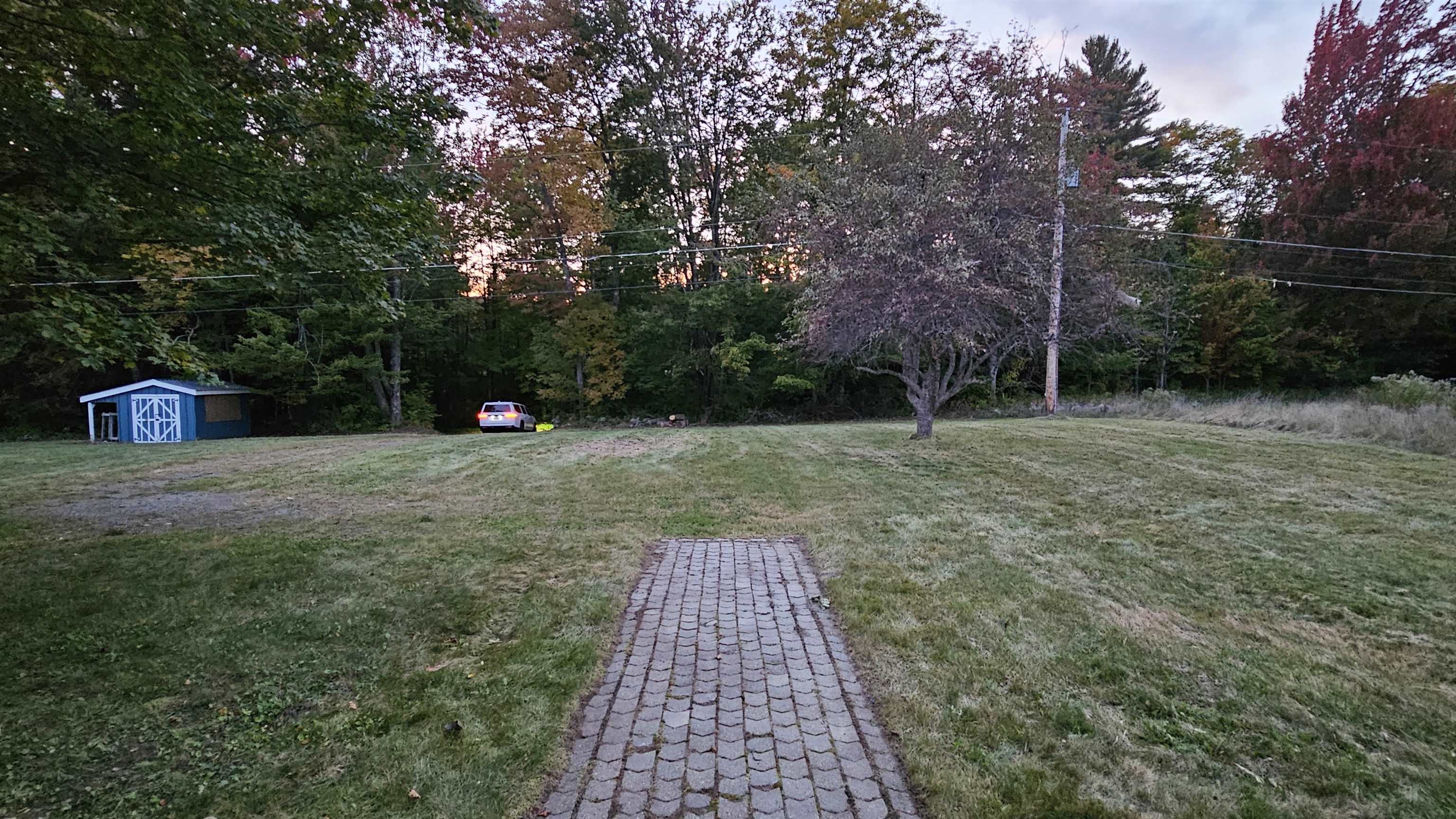 Grassy yard with a brick walkway leading toward a blue shed and wooded tree line.
