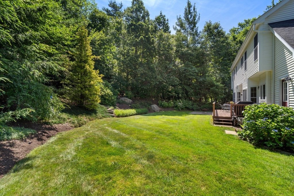 44 Orchard Rd