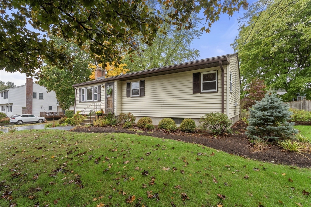 14 Buttercup Lane