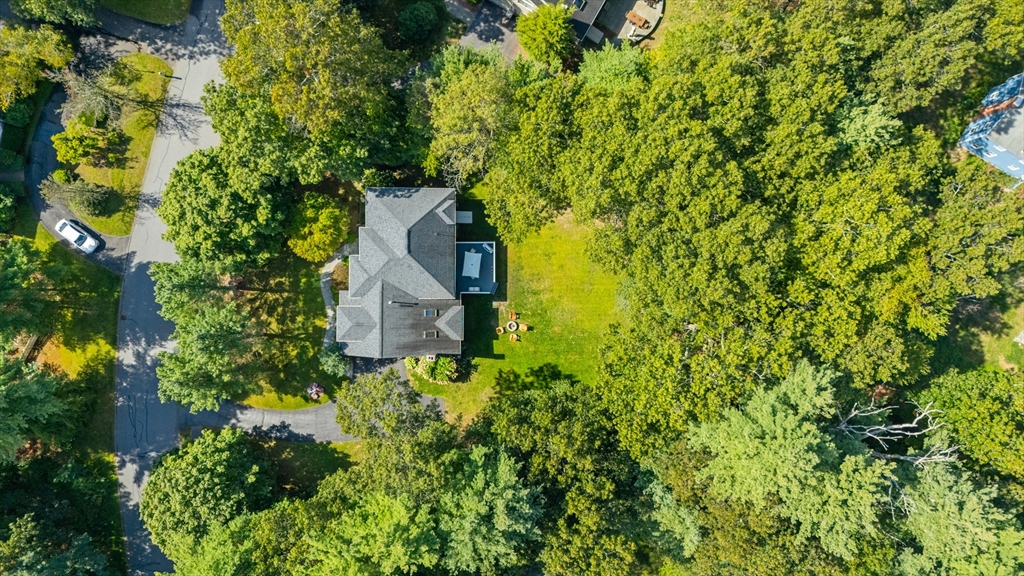 12 Camperdown Lane