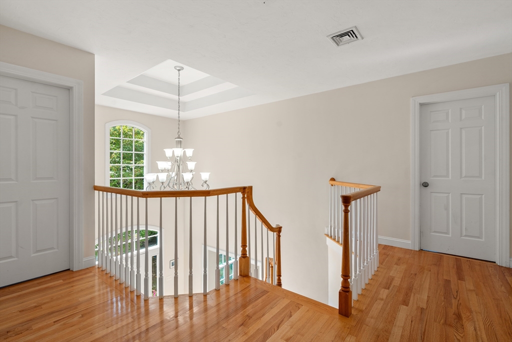 12 Camperdown Lane