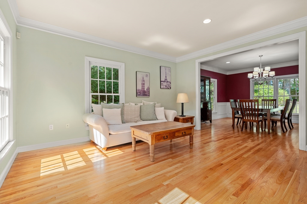 12 Camperdown Lane