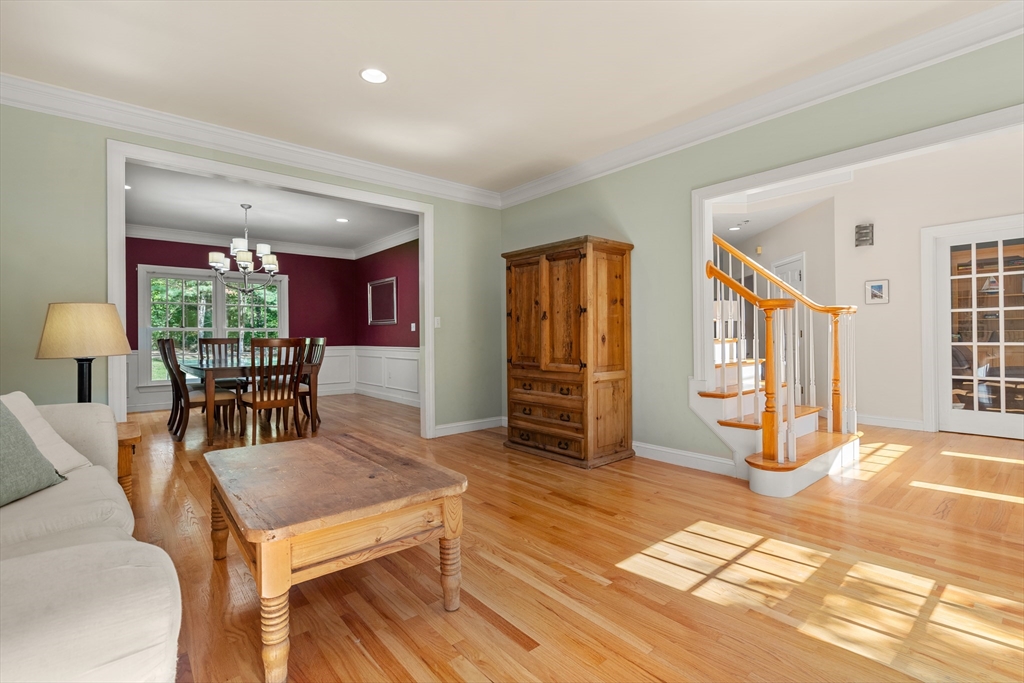 12 Camperdown Lane