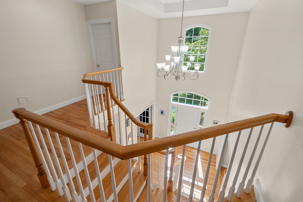 12 Camperdown Lane