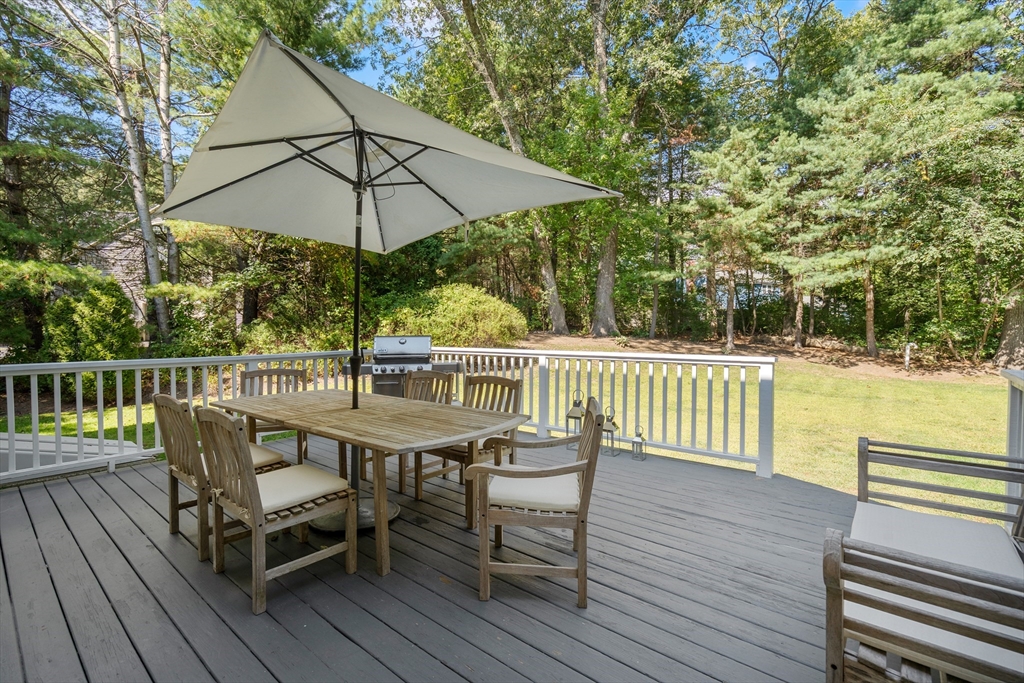 12 Camperdown Lane
