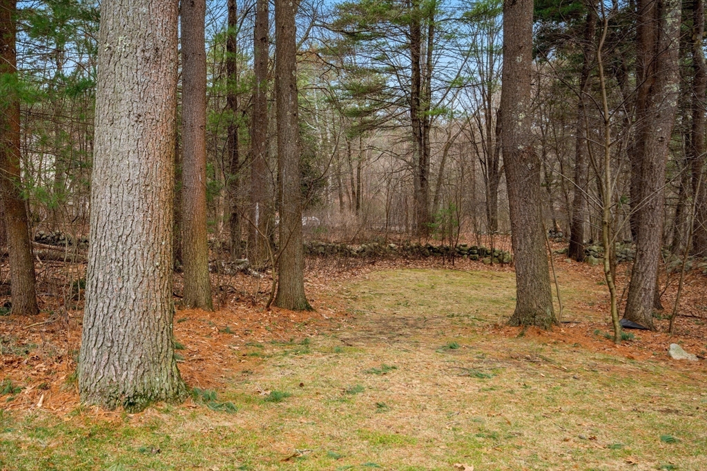 419 Concord Road