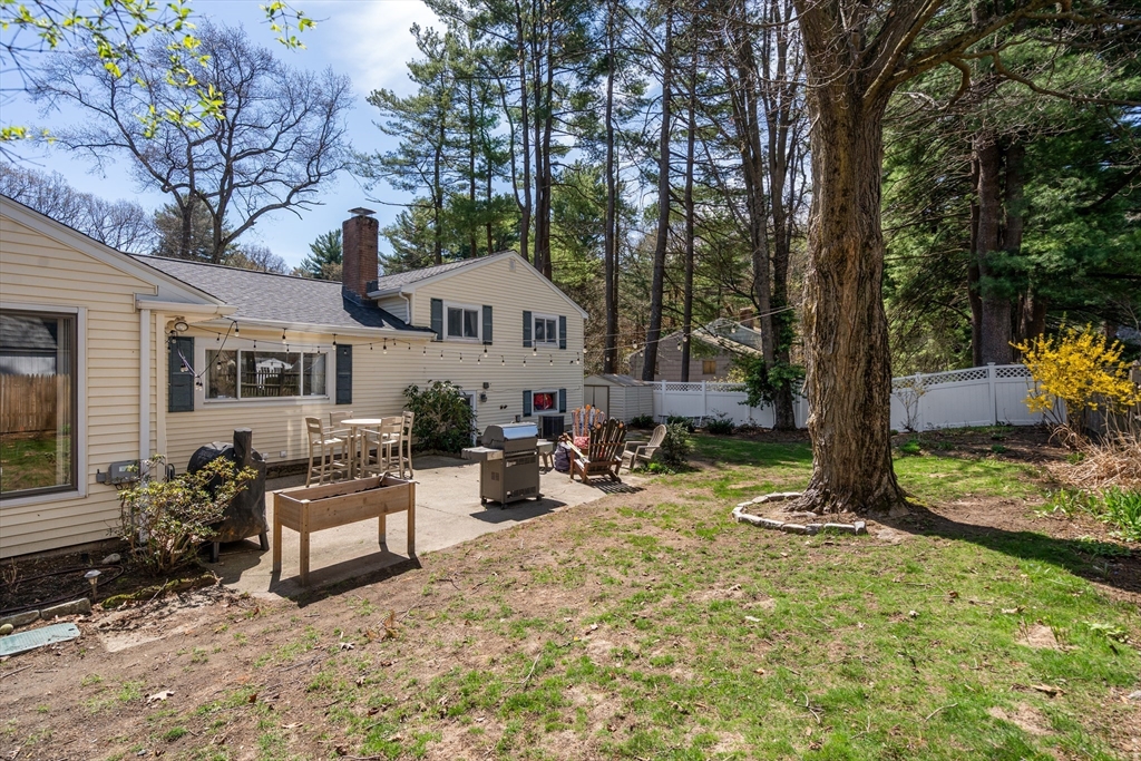 71 Delmar Ave
