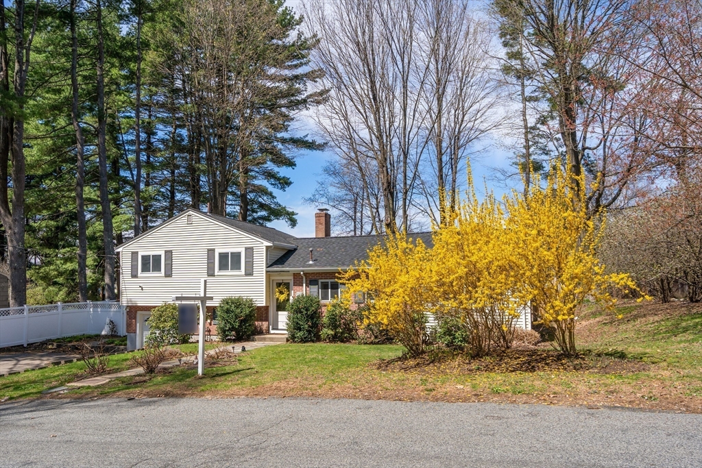 71 Delmar Ave