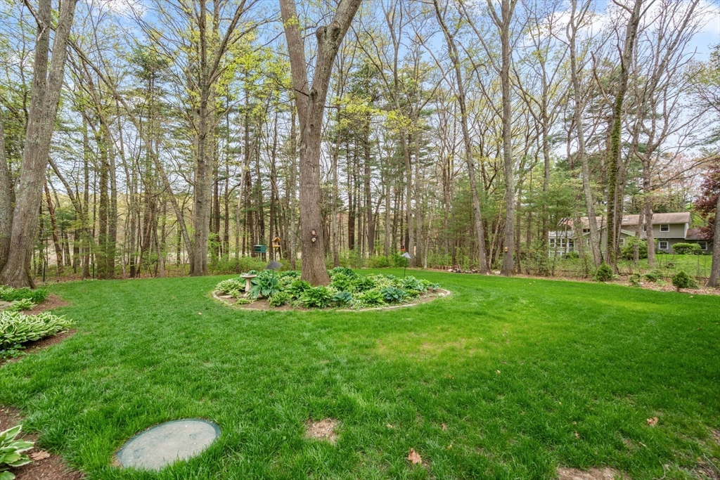 55 Saxony Drive