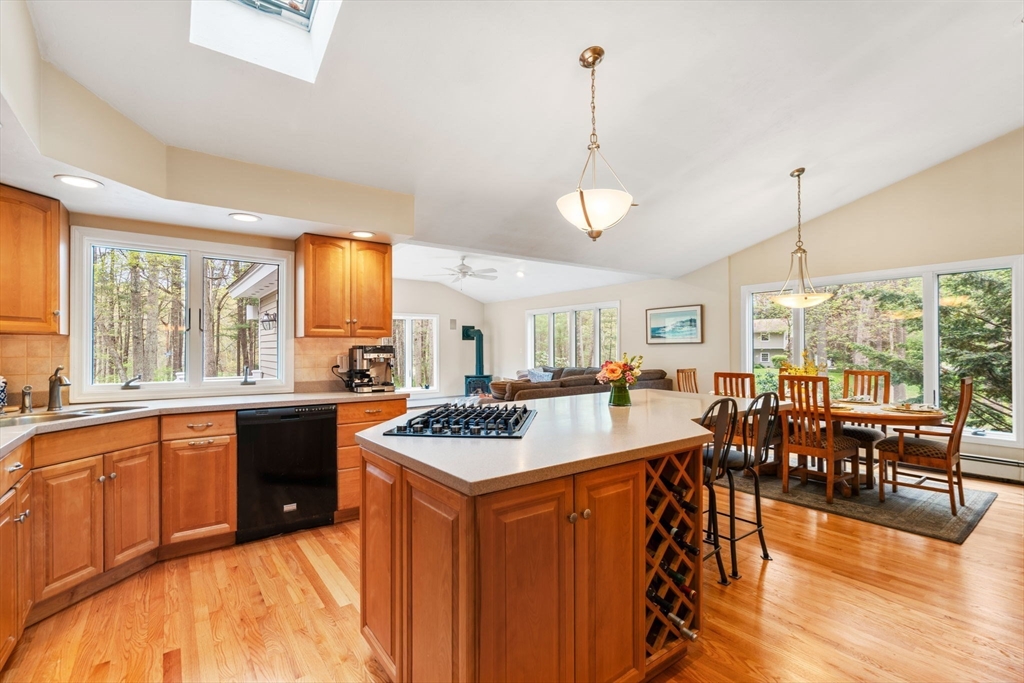 55 Saxony Drive