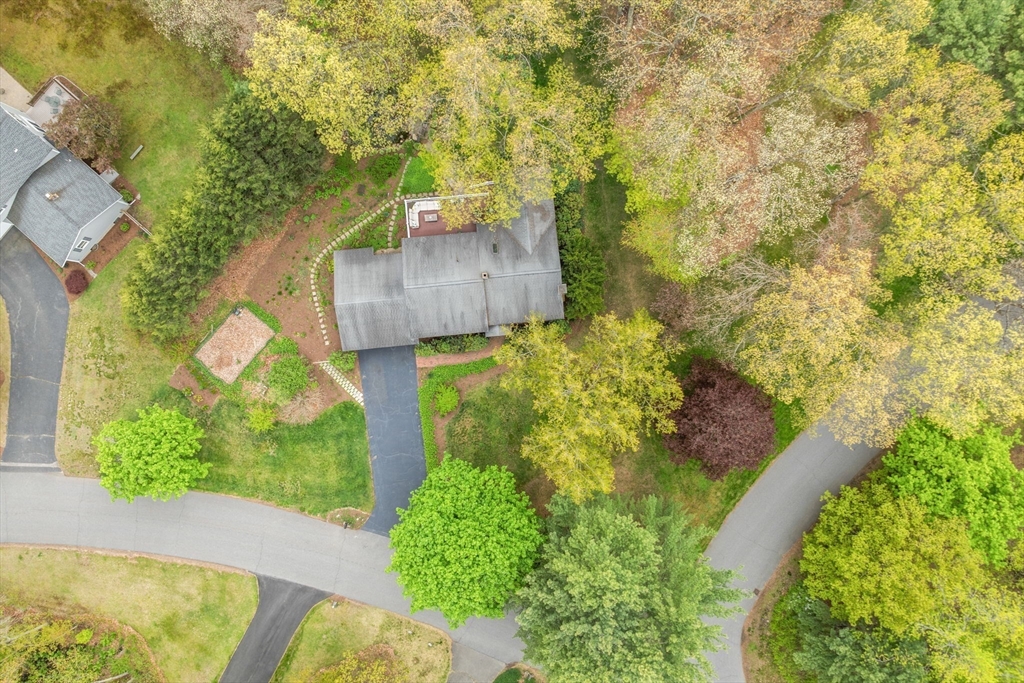 55 Saxony Drive