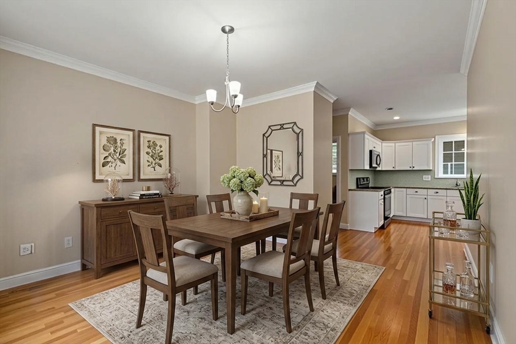 23 Basswood Ave