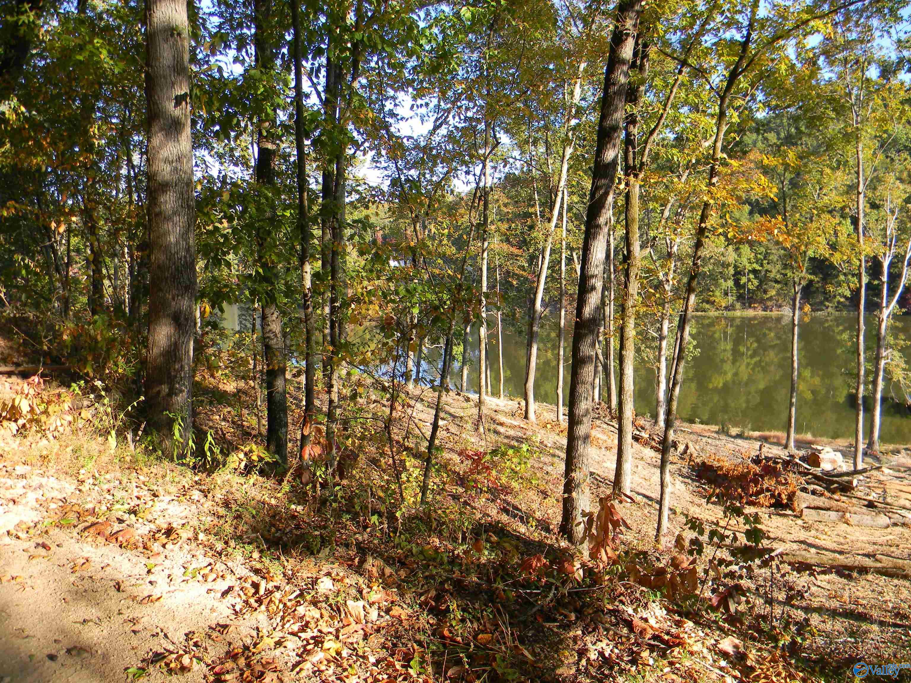 Eagles Nest Lot County Road 594