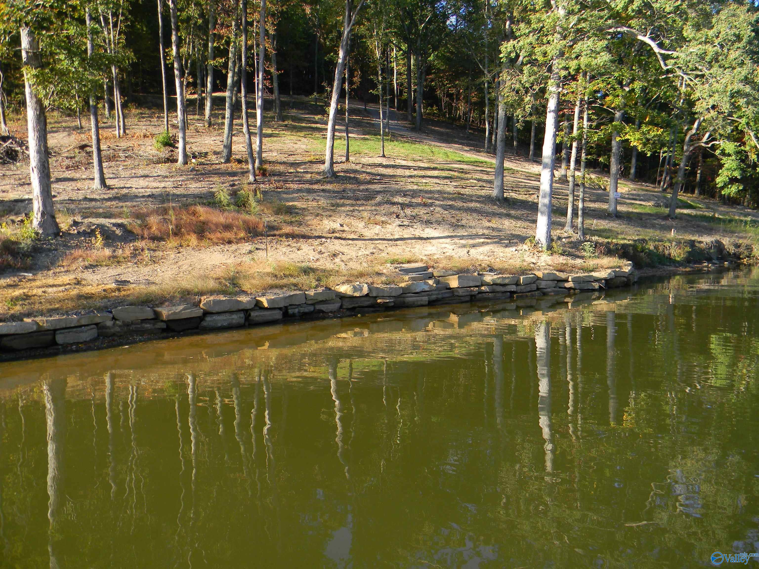 Eagles Nest Lot County Road 594