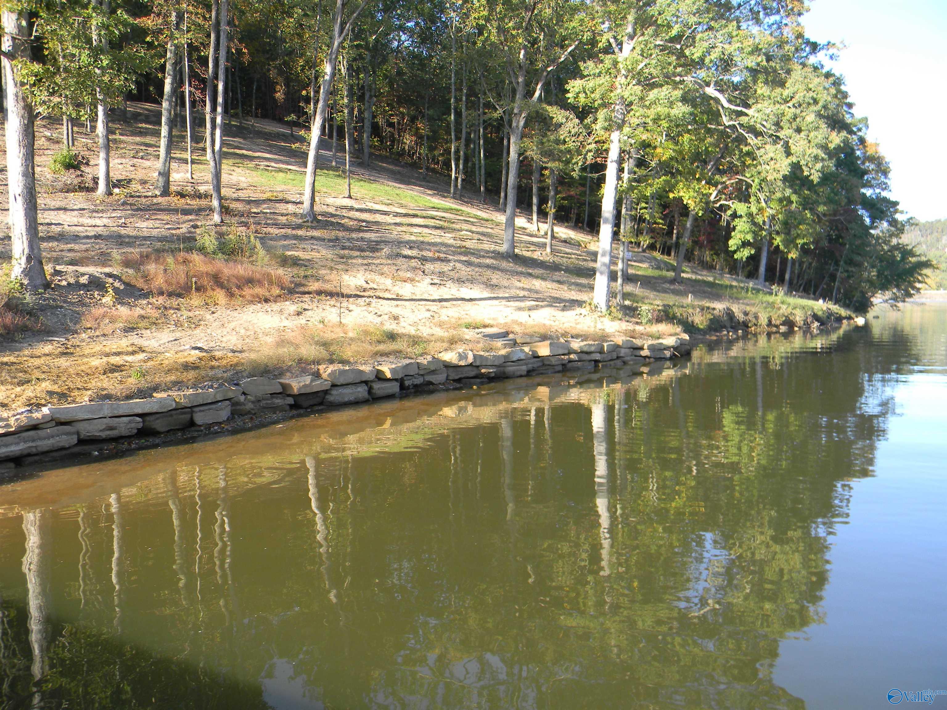 Eagles Nest Lot County Road 594