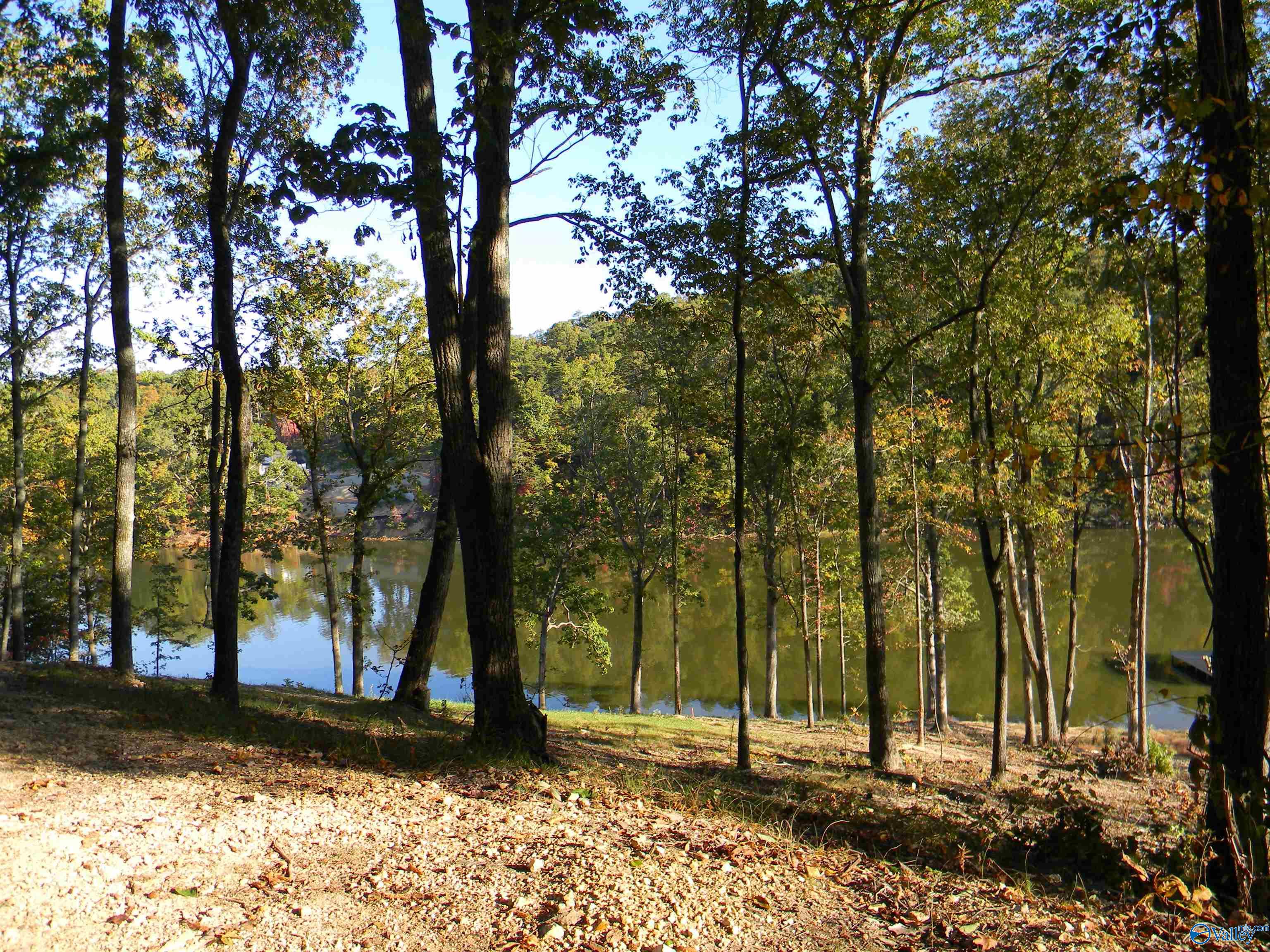 Eagles Nest Lot County Road 594