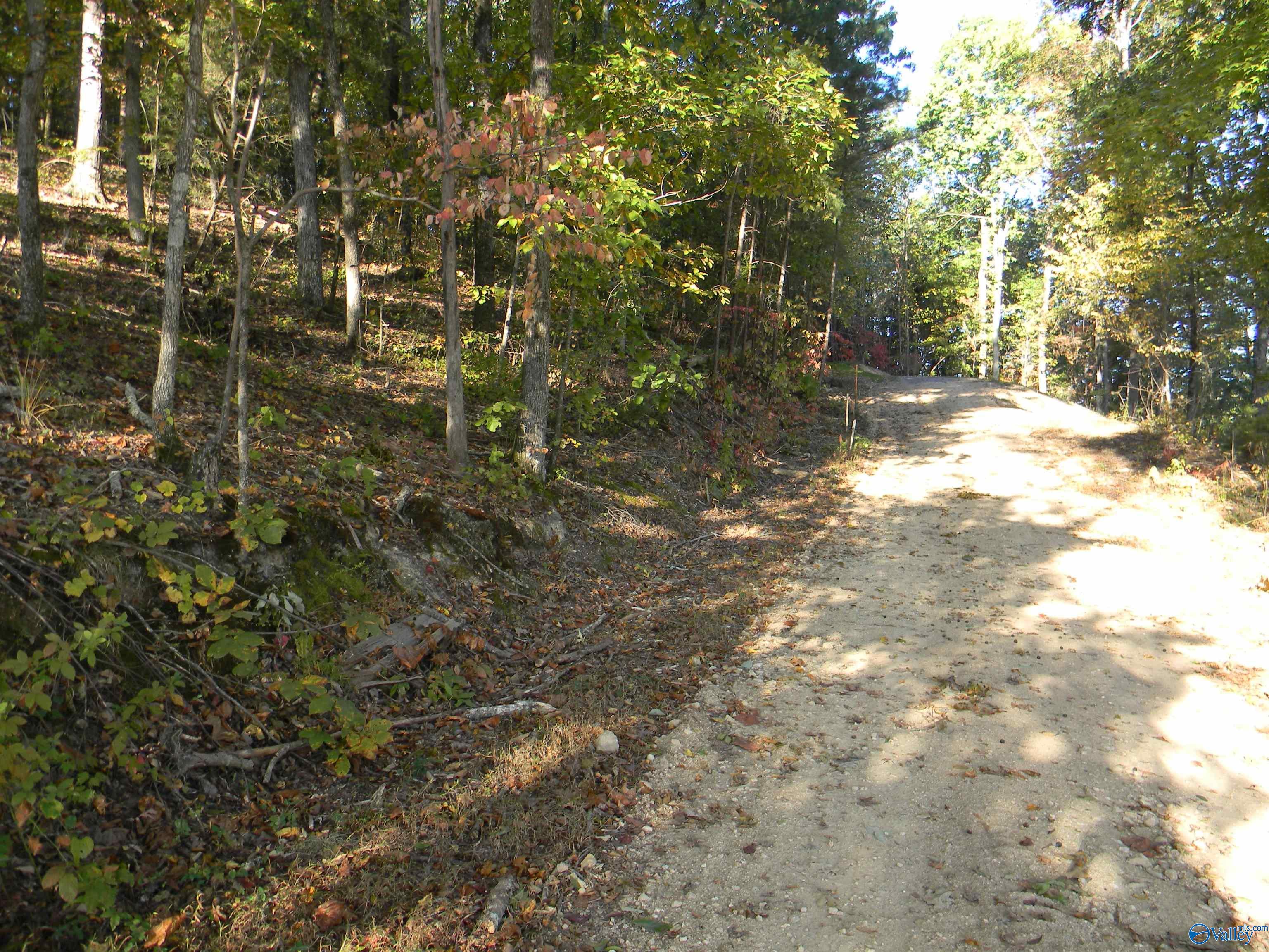 Eagles Nest Lot County Road 594
