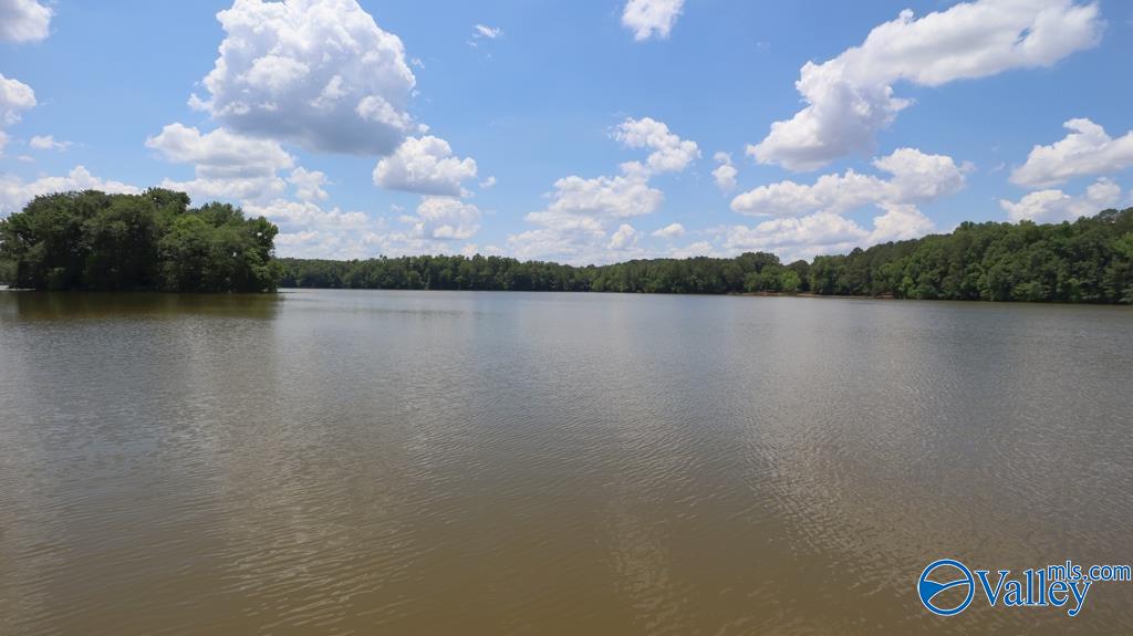 65 County Road 609