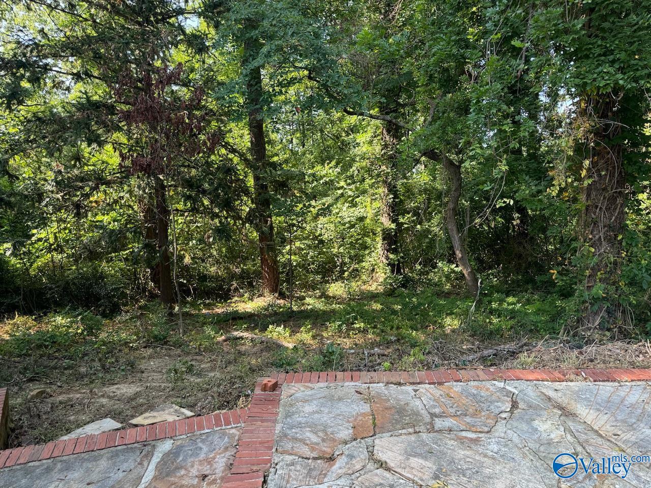 317 Lugenia Drive