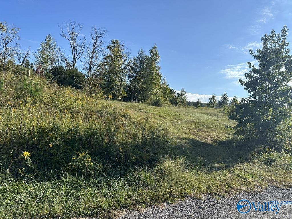 25 County Road 806