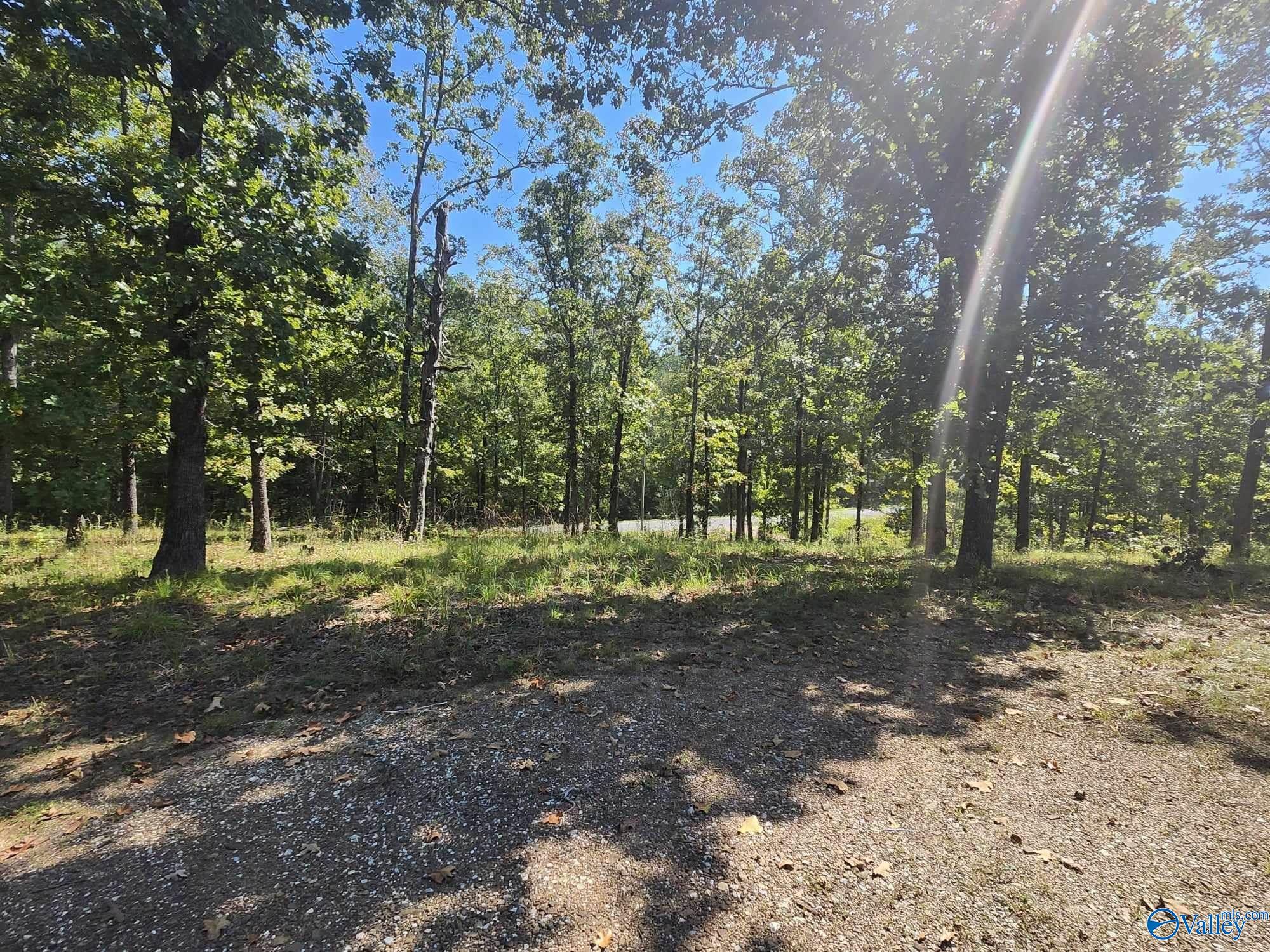 275 County Road 157