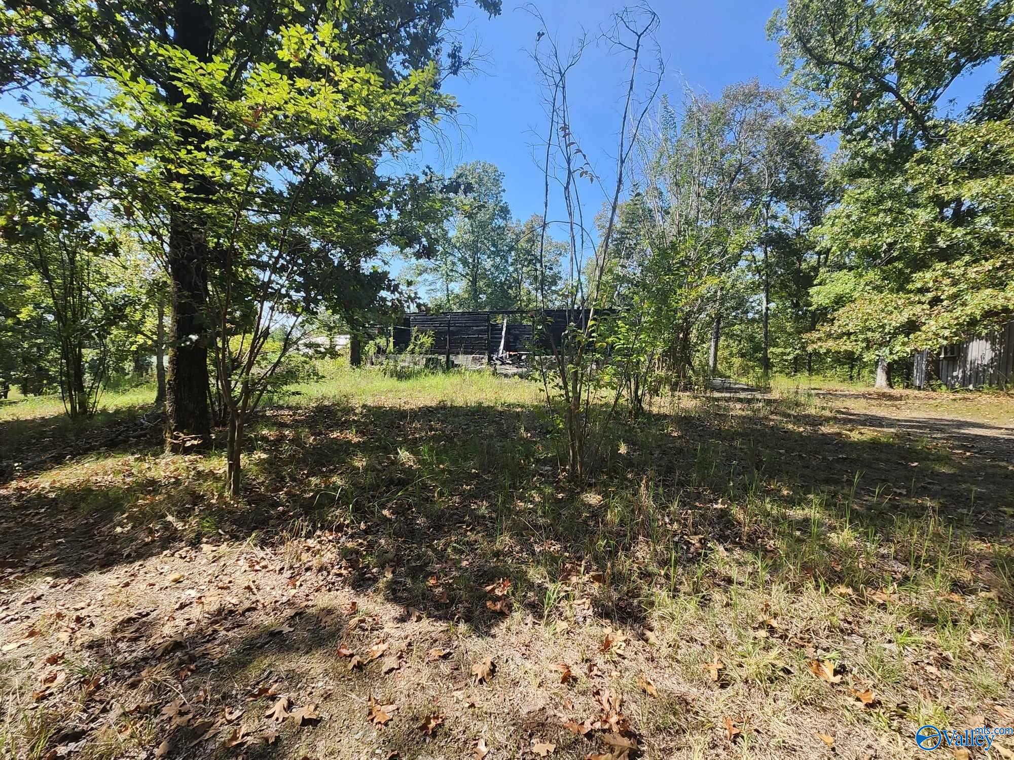 275 County Road 157