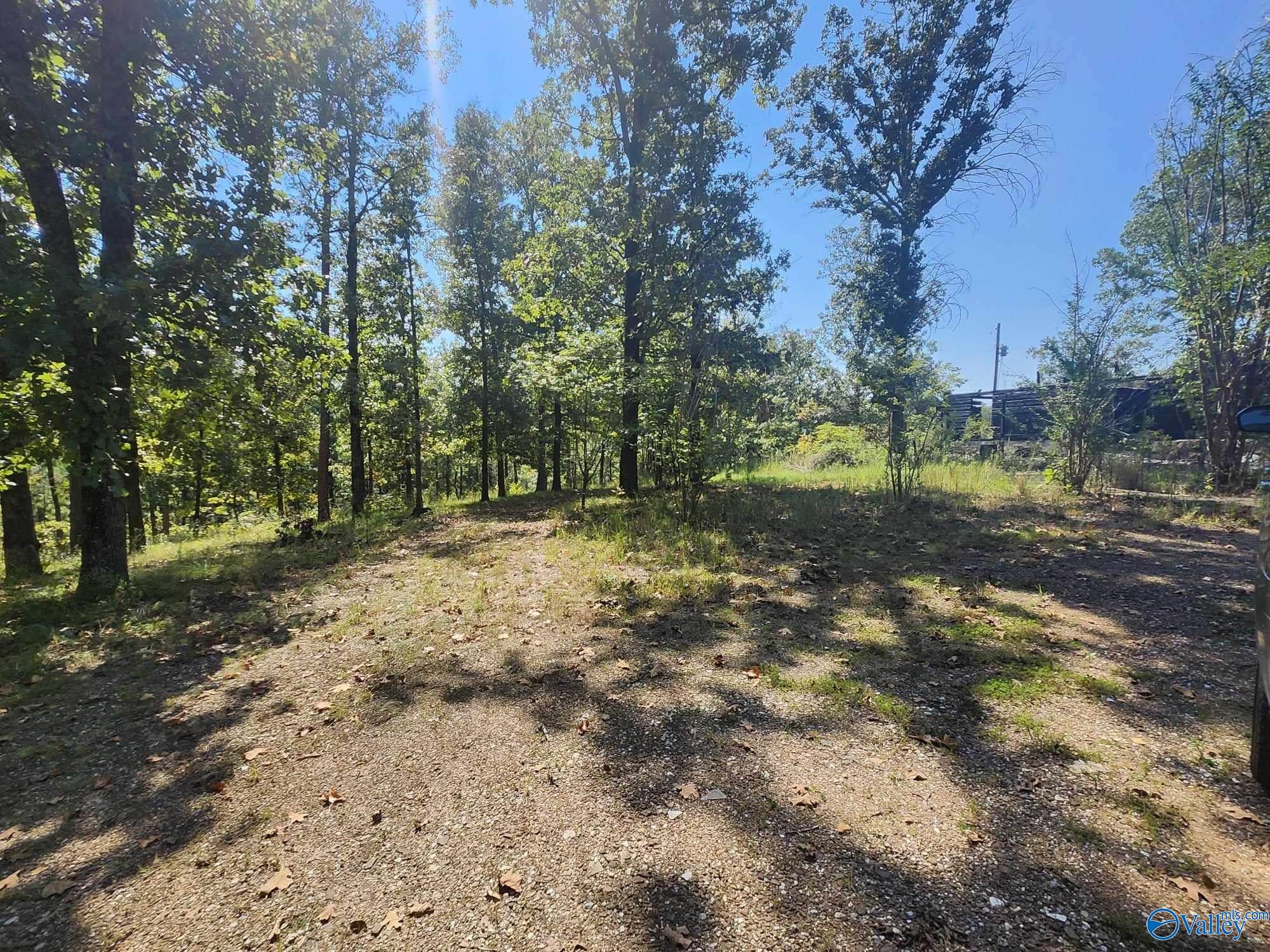 275 County Road 157