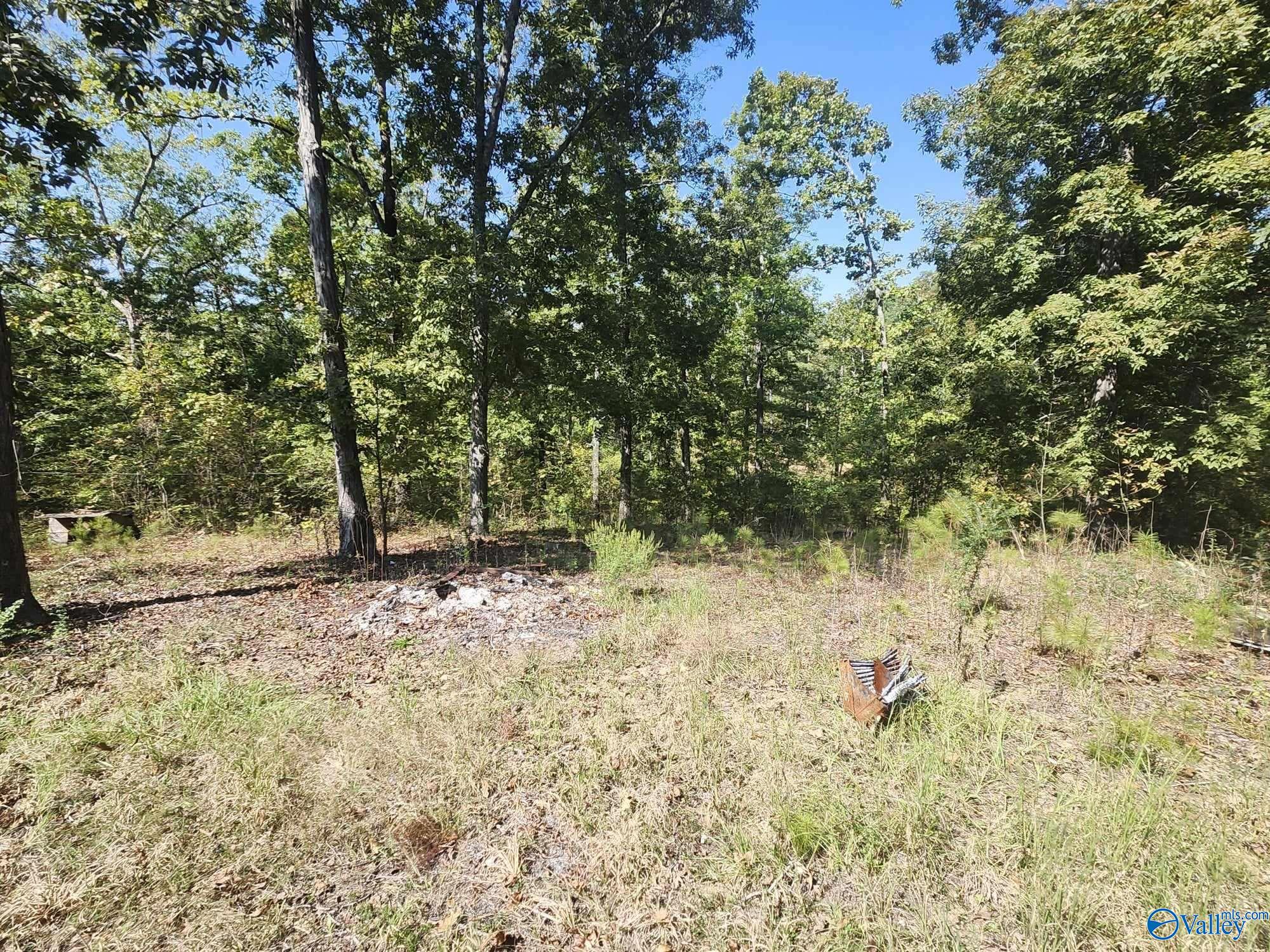 275 County Road 157