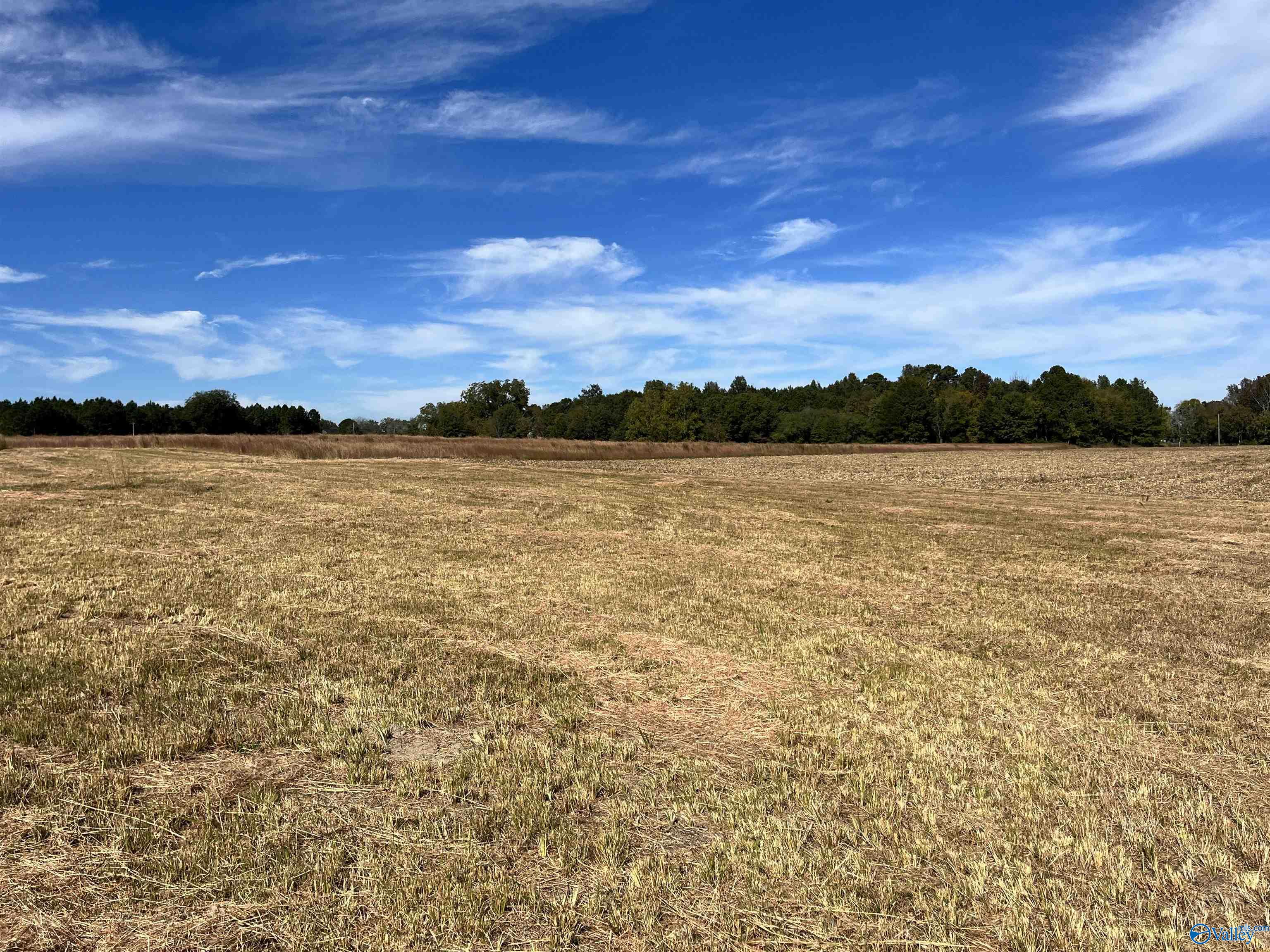 3310 County Road 34