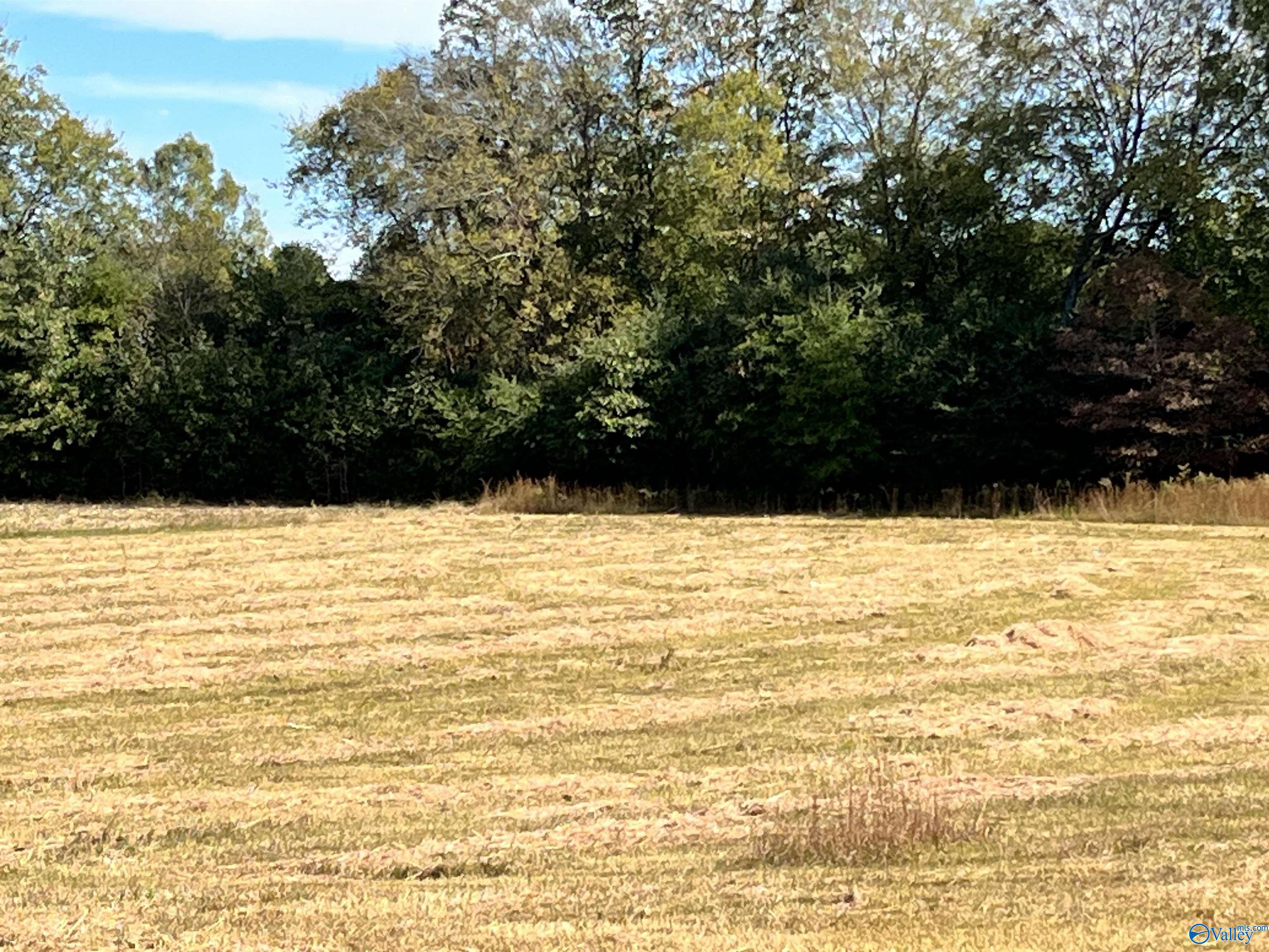 3310 County Road 34