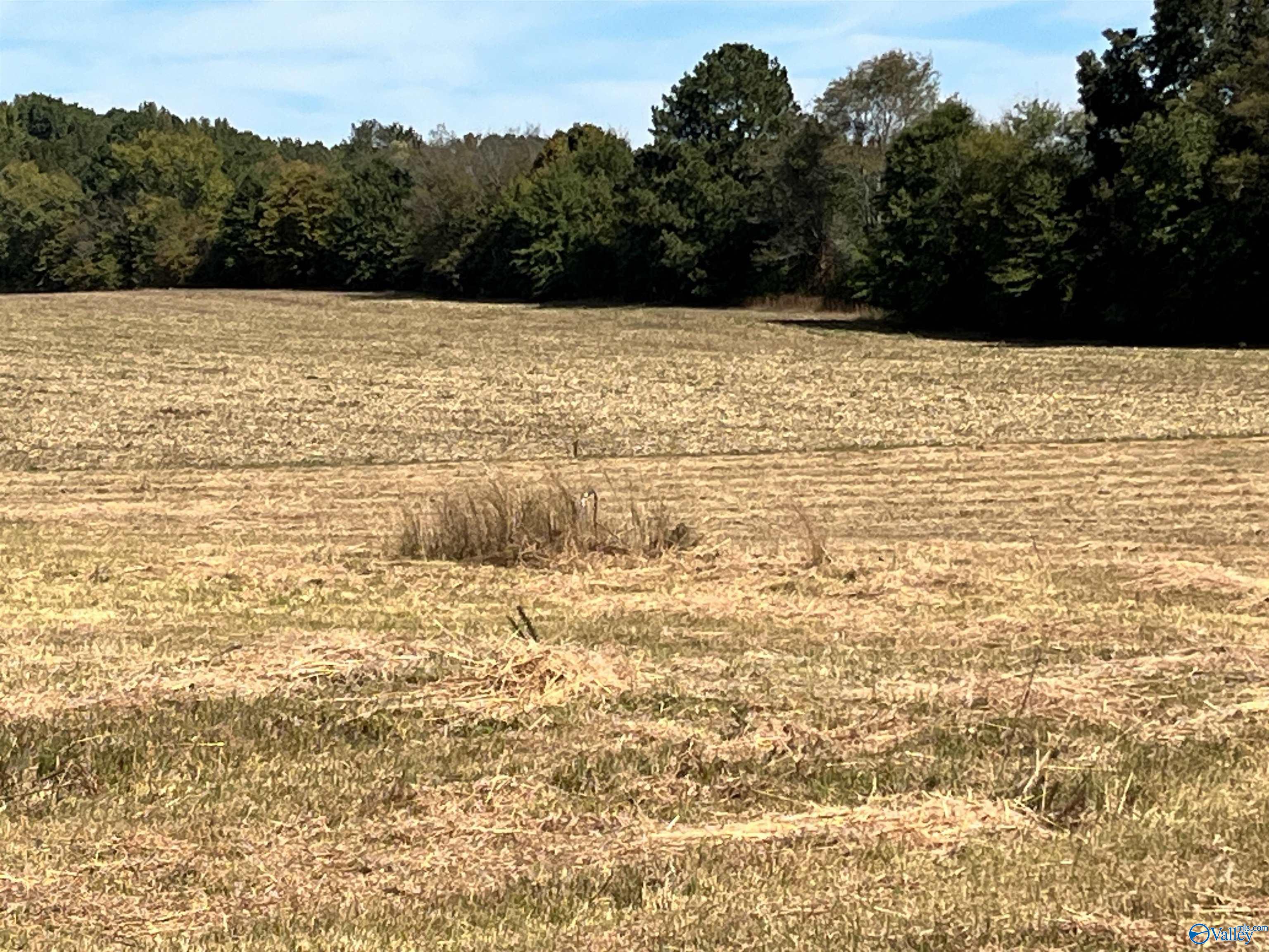 3310 County Road 34
