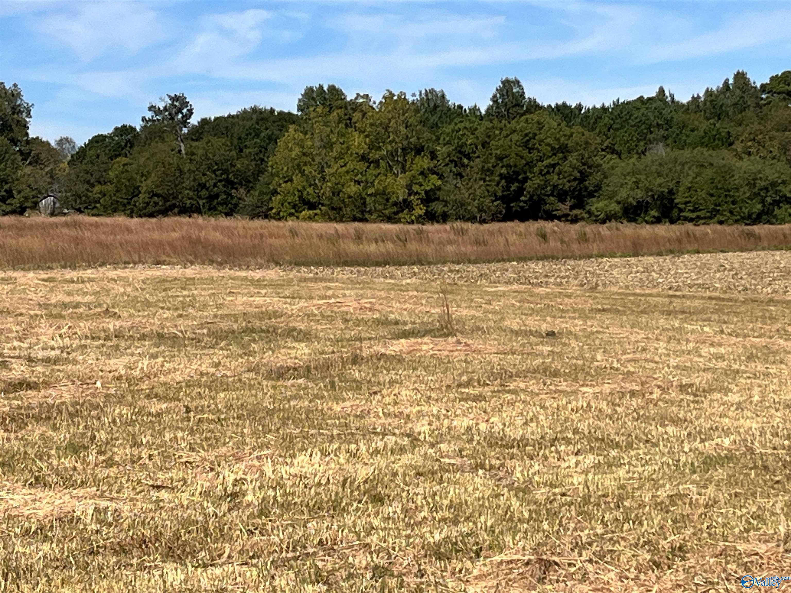 3310 County Road 34