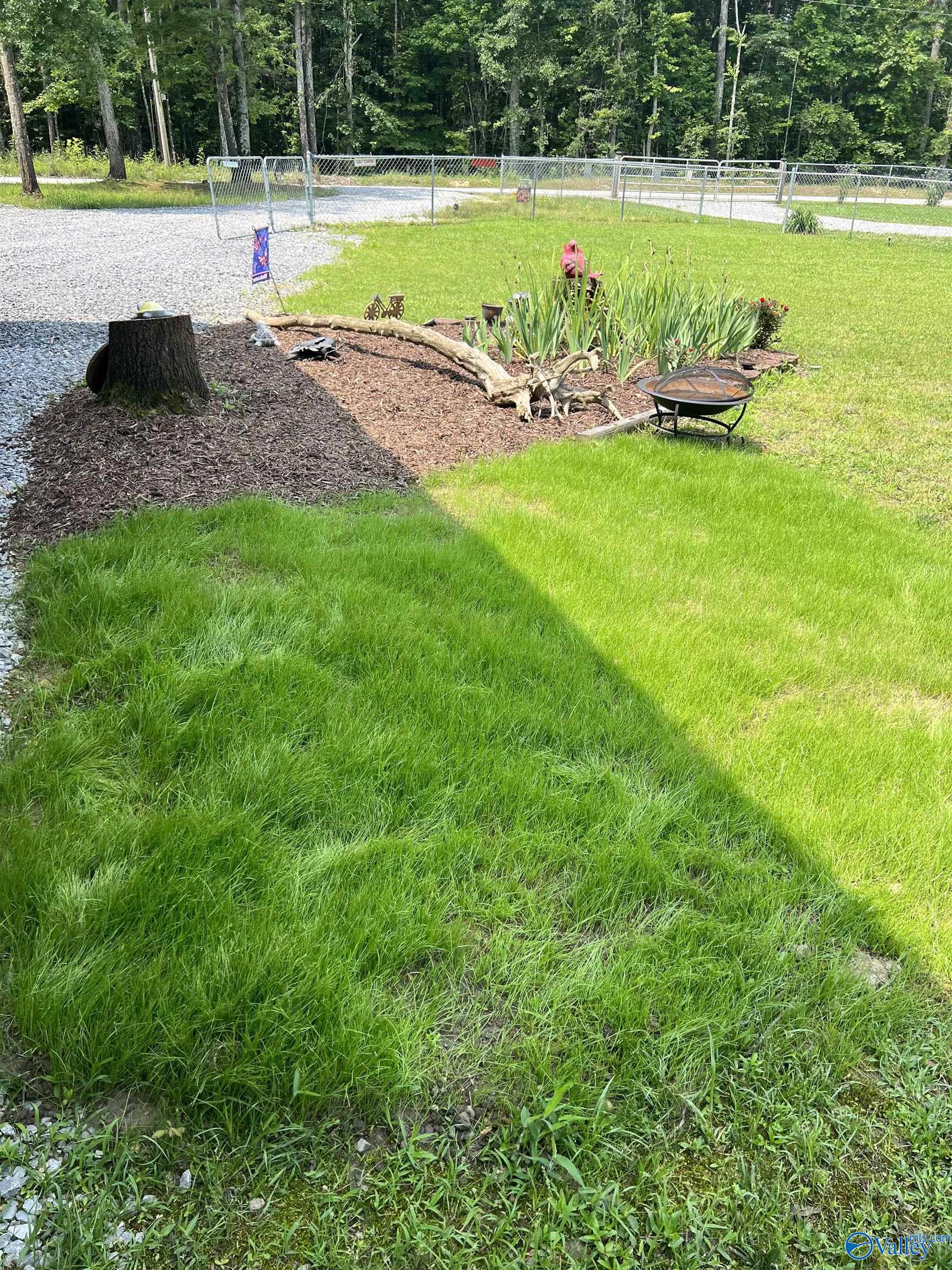 LOT 53 County Road 1011